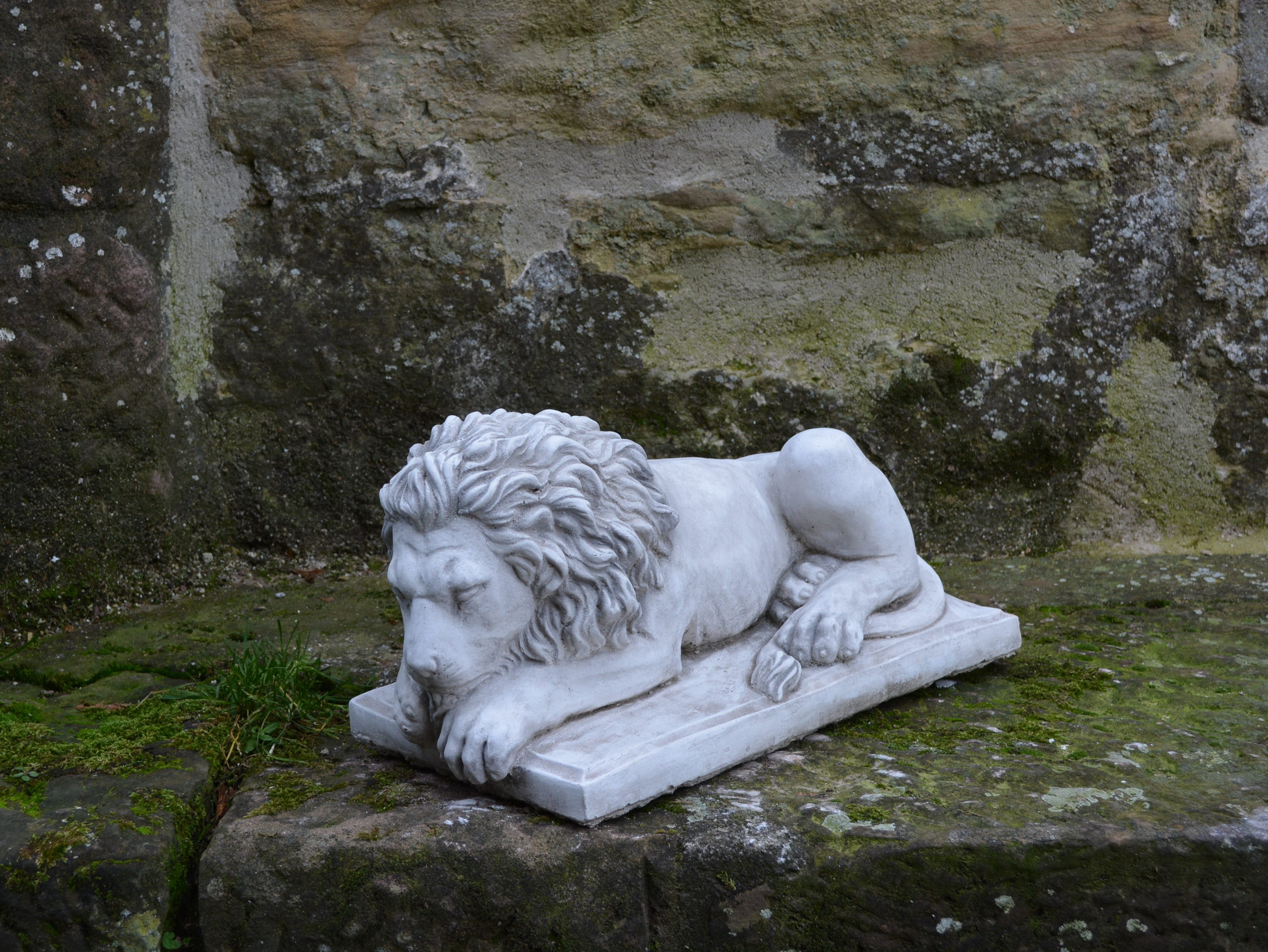 gartendekoparadies.de Gartenfigur Liegender Löwe – Kopf geradeaus gerichtet, H. 20 cm, 18 kg, Frostsicher