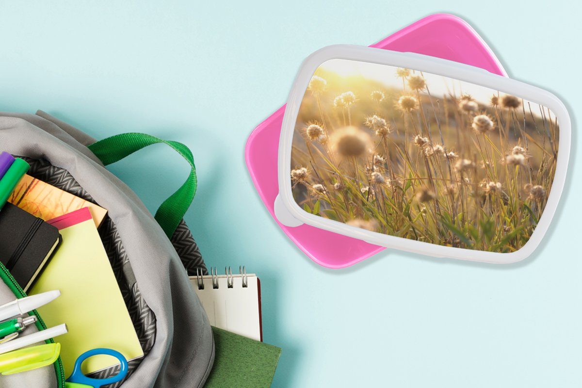 Kunststoff, MuchoWow Horizont, Blumen rosa (2-tlg), Mädchen, - - - Erwachsene, Pflanzen für Kunststoff Sonne Brotbox Brotdose Lunchbox Kinder, Natur Snackbox, -