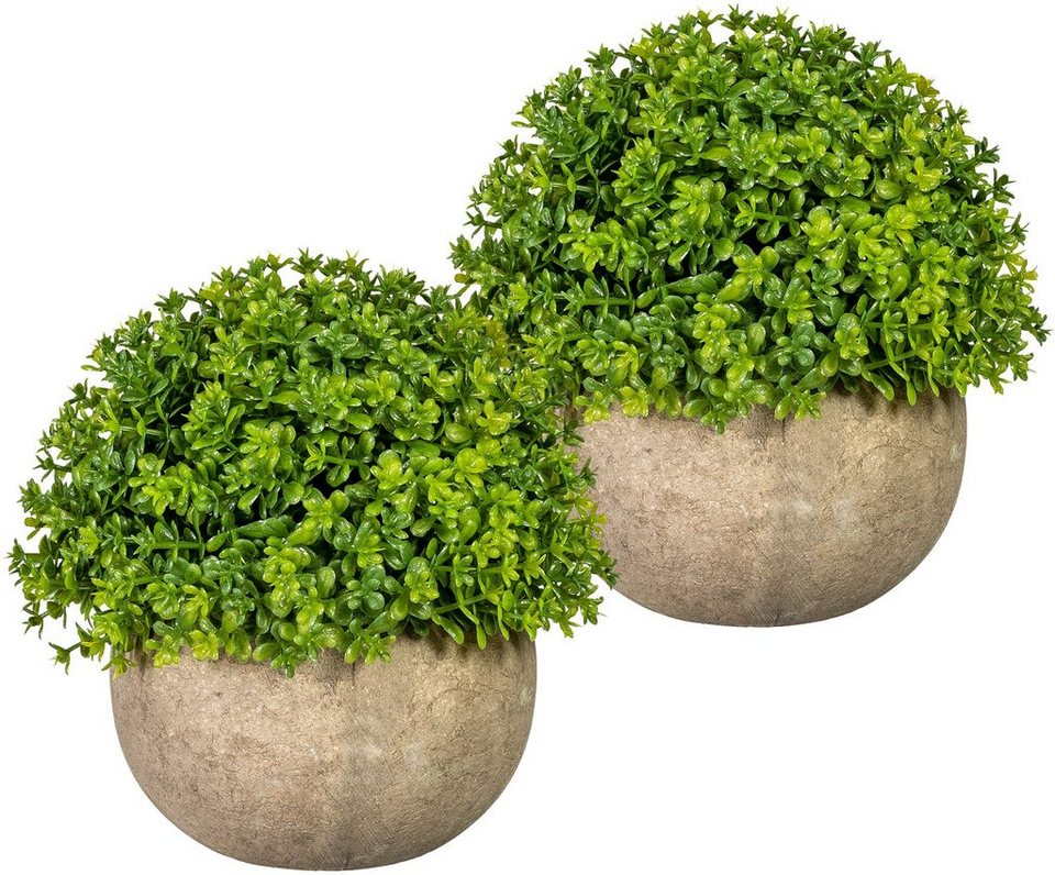 Kunstpflanze Voulon Miniblattkugel, Home affaire, Höhe 12 cm, im Paperpot,  2er Set