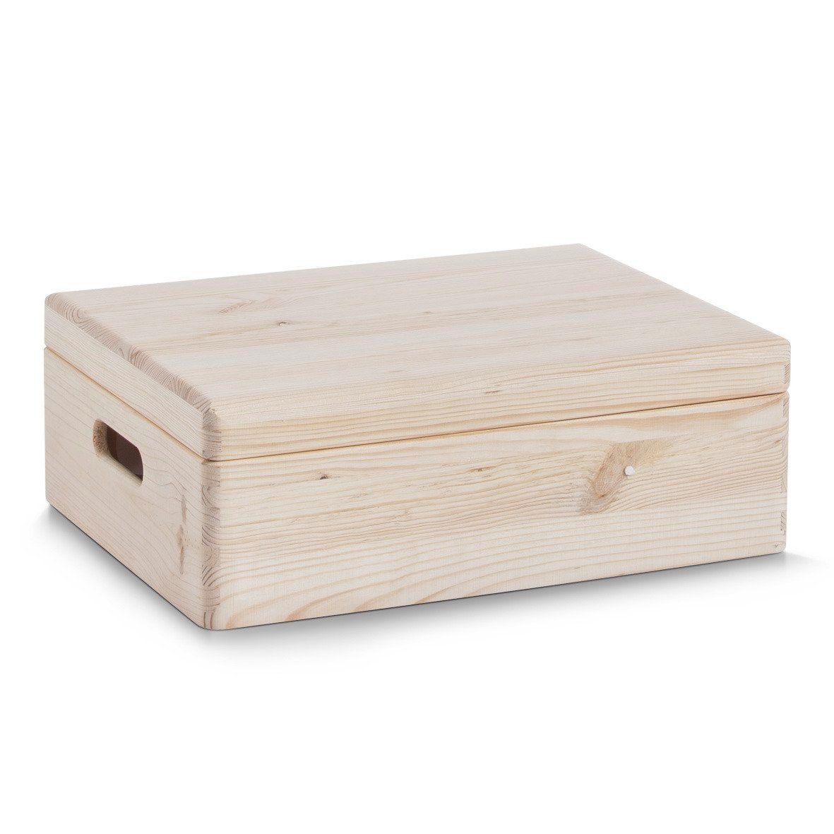 Zeller Present Aufbewahrungsbox