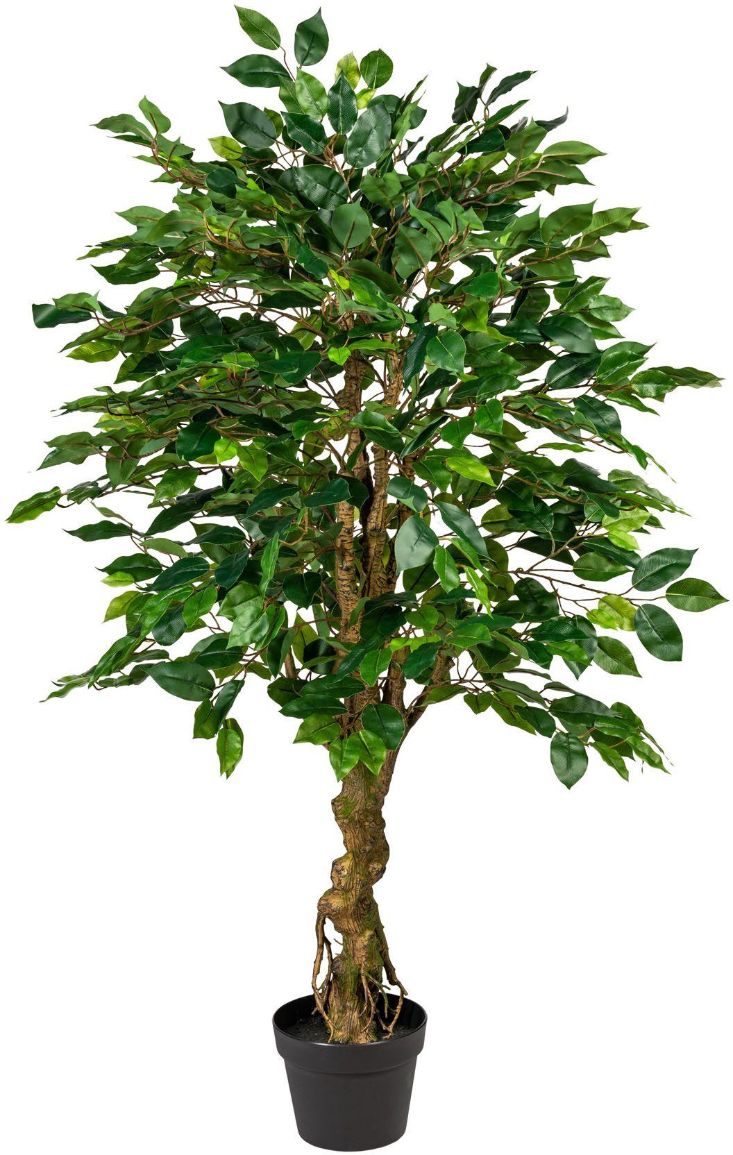 Kunstbaum »Lausitz« Ficus Benjamini, DELAVITA, Höhe 125 cm, Kunstpflanze,  im Topf