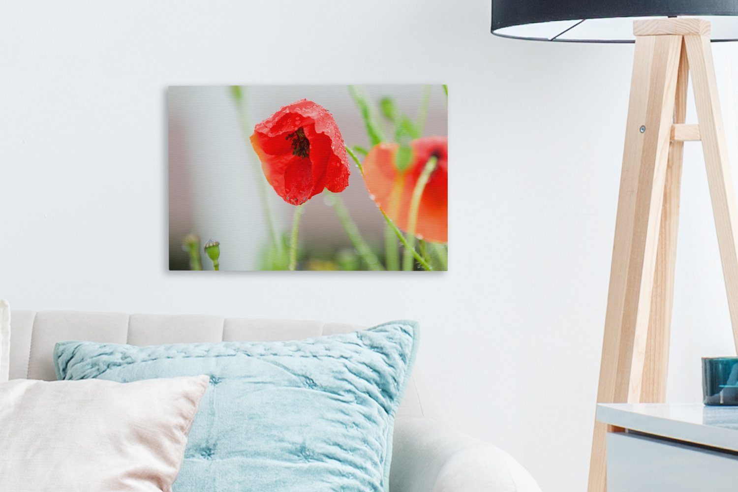 cm 30x20 einer Leinwandbilder, Tau auf OneMillionCanvasses® St), Aufhängefertig, Wanddeko, (1 Wandbild Mohnblume, Leinwandbild roten