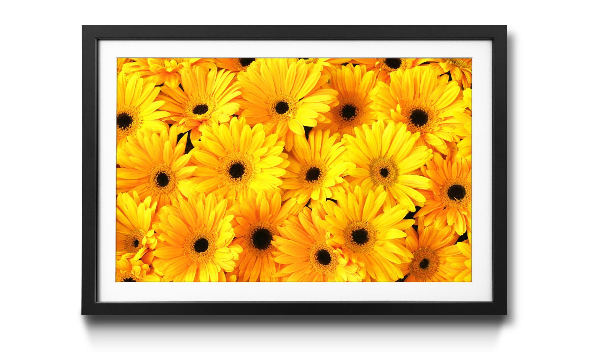WandbilderXXL Bild mit Rahmen Sunny Mood, Blumen, Wandbild, in 4 Größen erhältlich