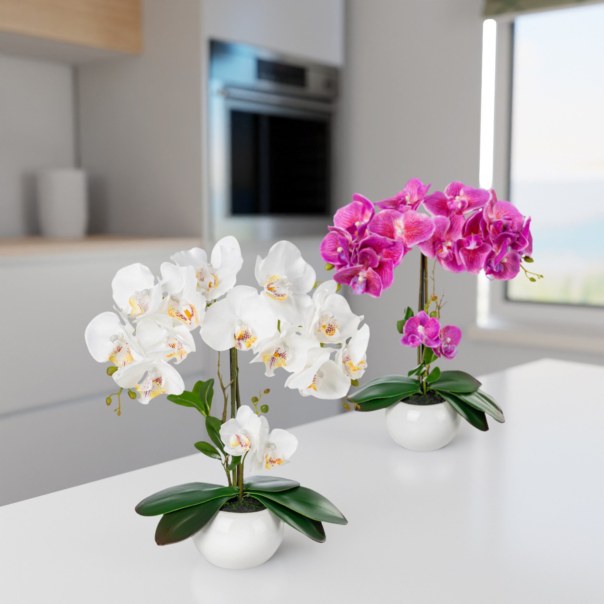 Kunstorchidee PASCH® Orchidee künstlich wie echt (40cm) in Hochglanz-Keramiktopf Orchidee, PASCH