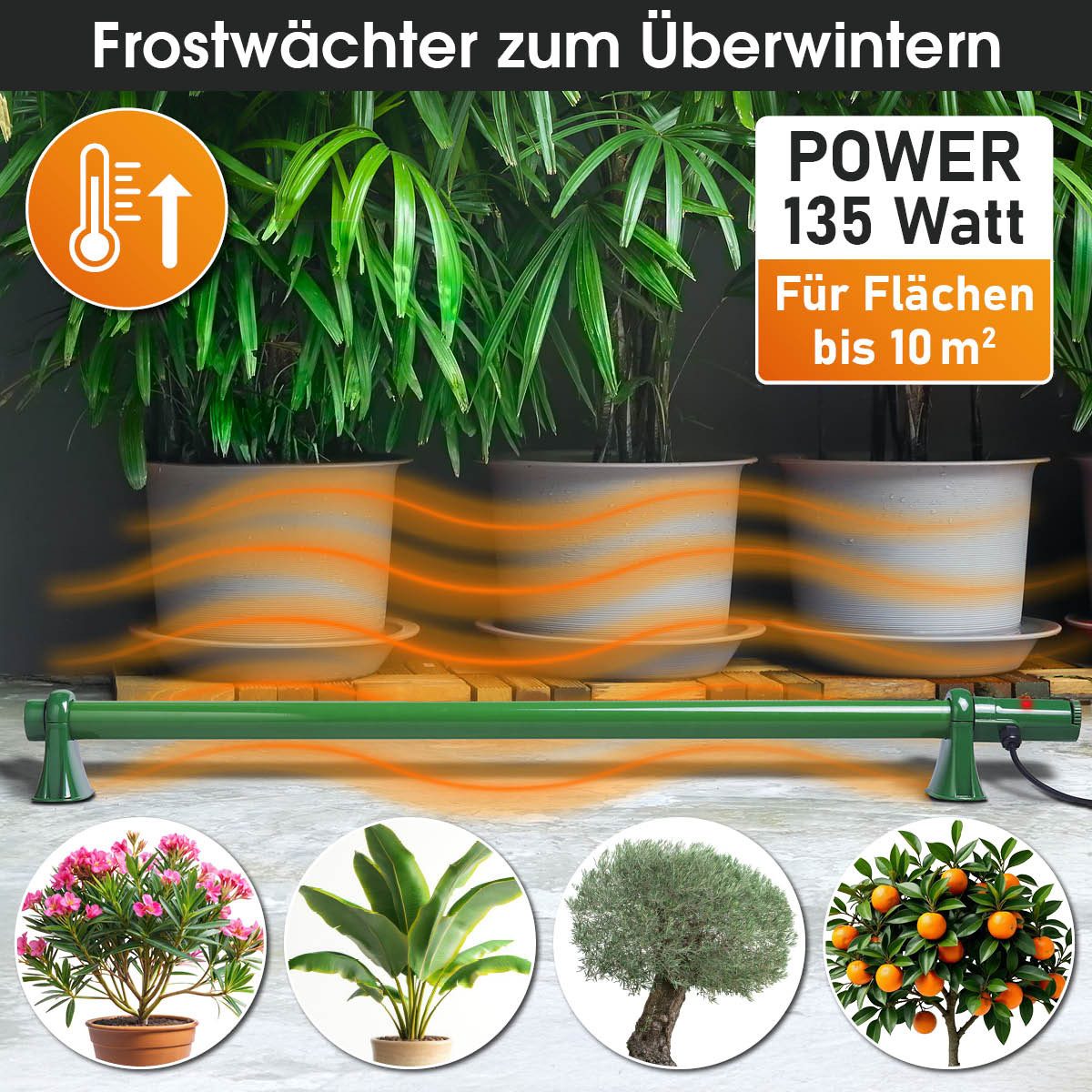 BRAST Foliengewächshaus Gewächshausheizung 135W für Überwinterungszelt günstig online kaufen