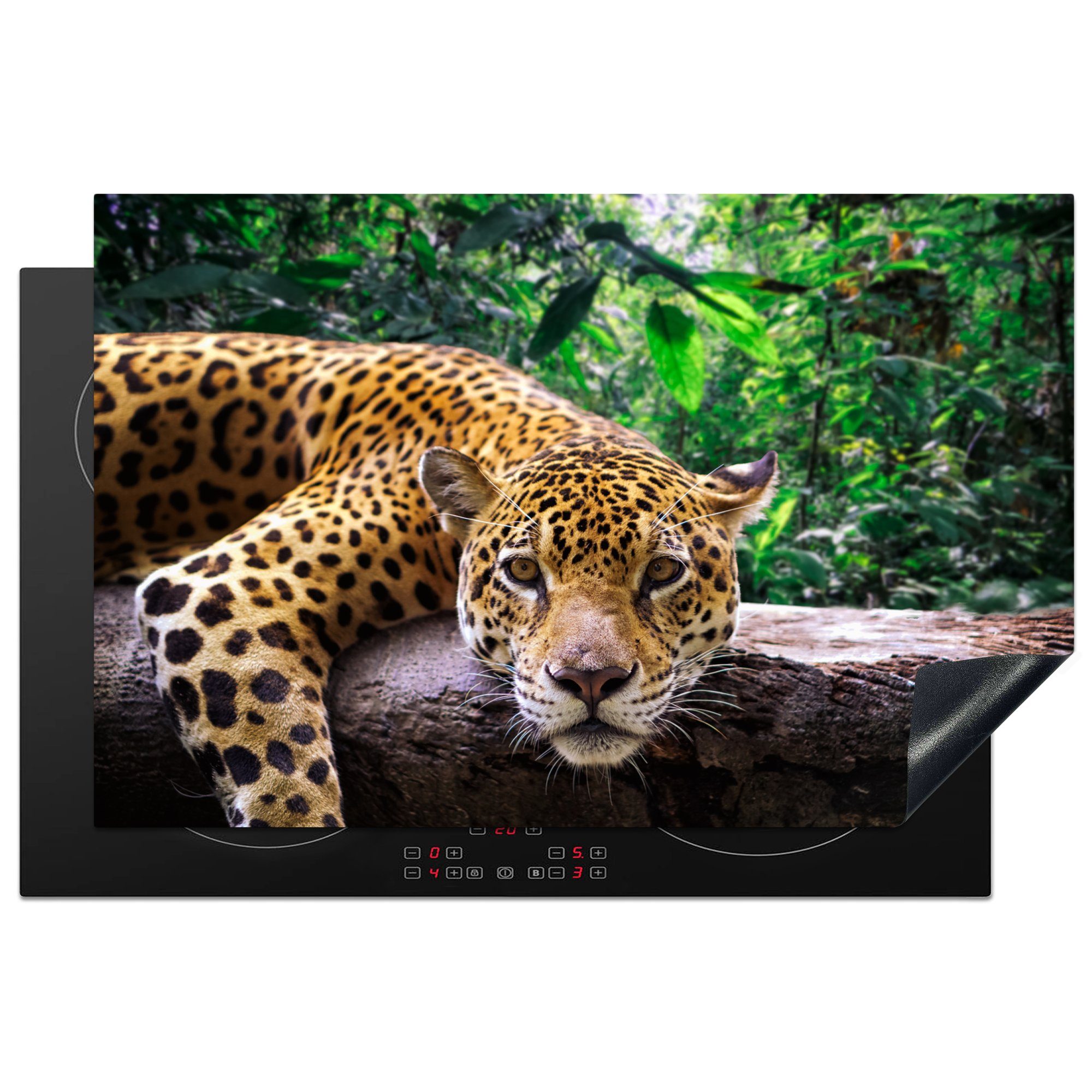 MuchoWow Herdblende-/Abdeckplatte Jaguar ruht, Vinyl, (1 tlg), 81x52 cm, Induktionskochfeld Schutz für die küche, Ceranfeldabdeckung