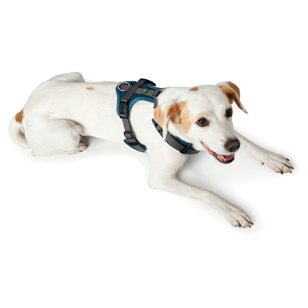 Hunter Tierbedarf Hunde-Geschirr Geschirr Maldon türkis/grau günstig online kaufen