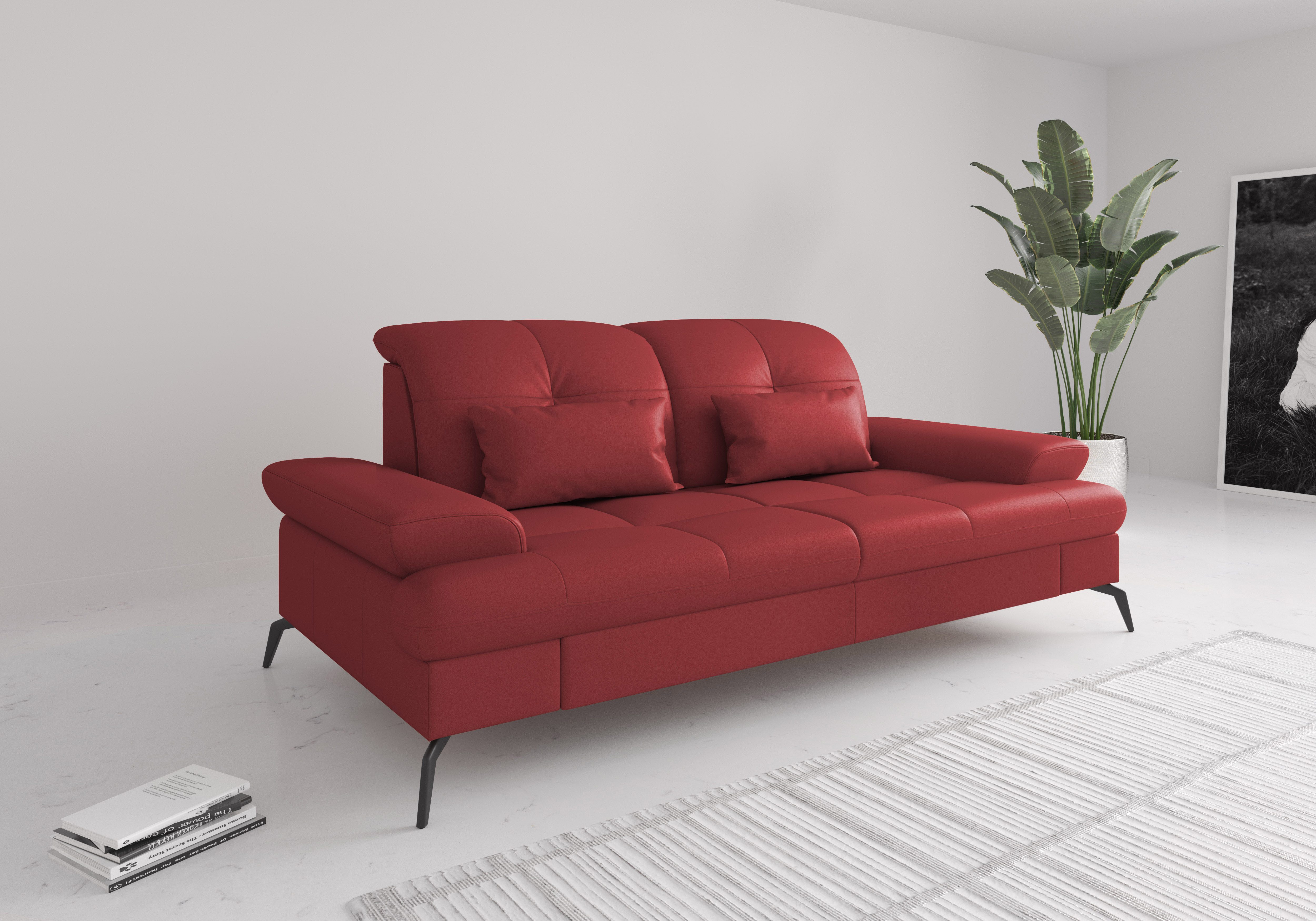 sit&more 2,5-Sitzer Amica, inkl. Sitztiefenverstellung und Armteilverstellung, wahlweise mit Kopfteilverstellung und Bettfunktion