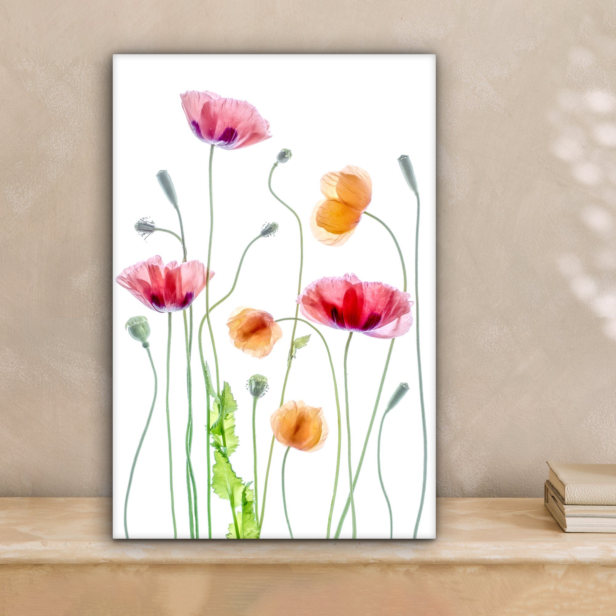 OneMillionCanvasses® Leinwandbild Mohn - Blumen - Frühling - Weiß, Fotodruc günstig online kaufen