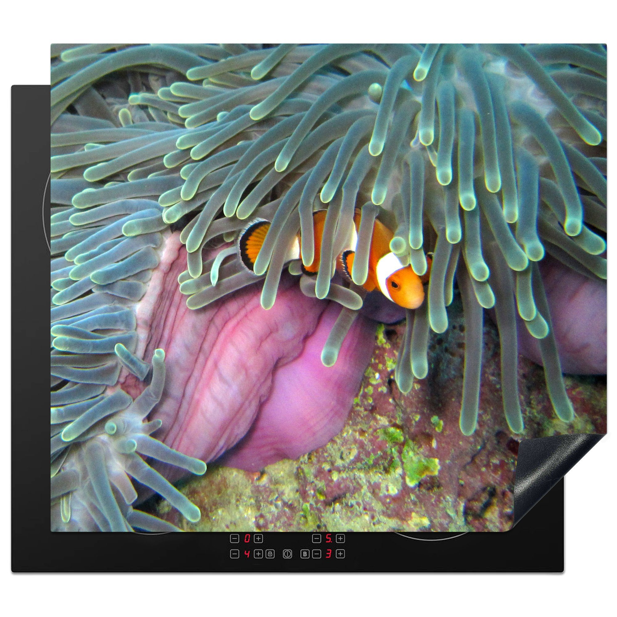 MuchoWow Herdblende-/Abdeckplatte Nemo - Fisch - Anemone, Vinyl, (1 tlg), 60x52 cm, Mobile Arbeitsfläche nutzbar, Ceranfeldabdeckung