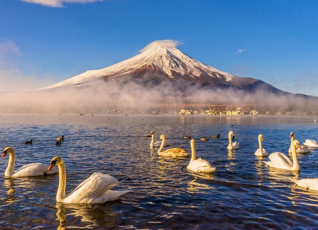Papermoon Fototapete »Mount Fuji«, glatt-Otto