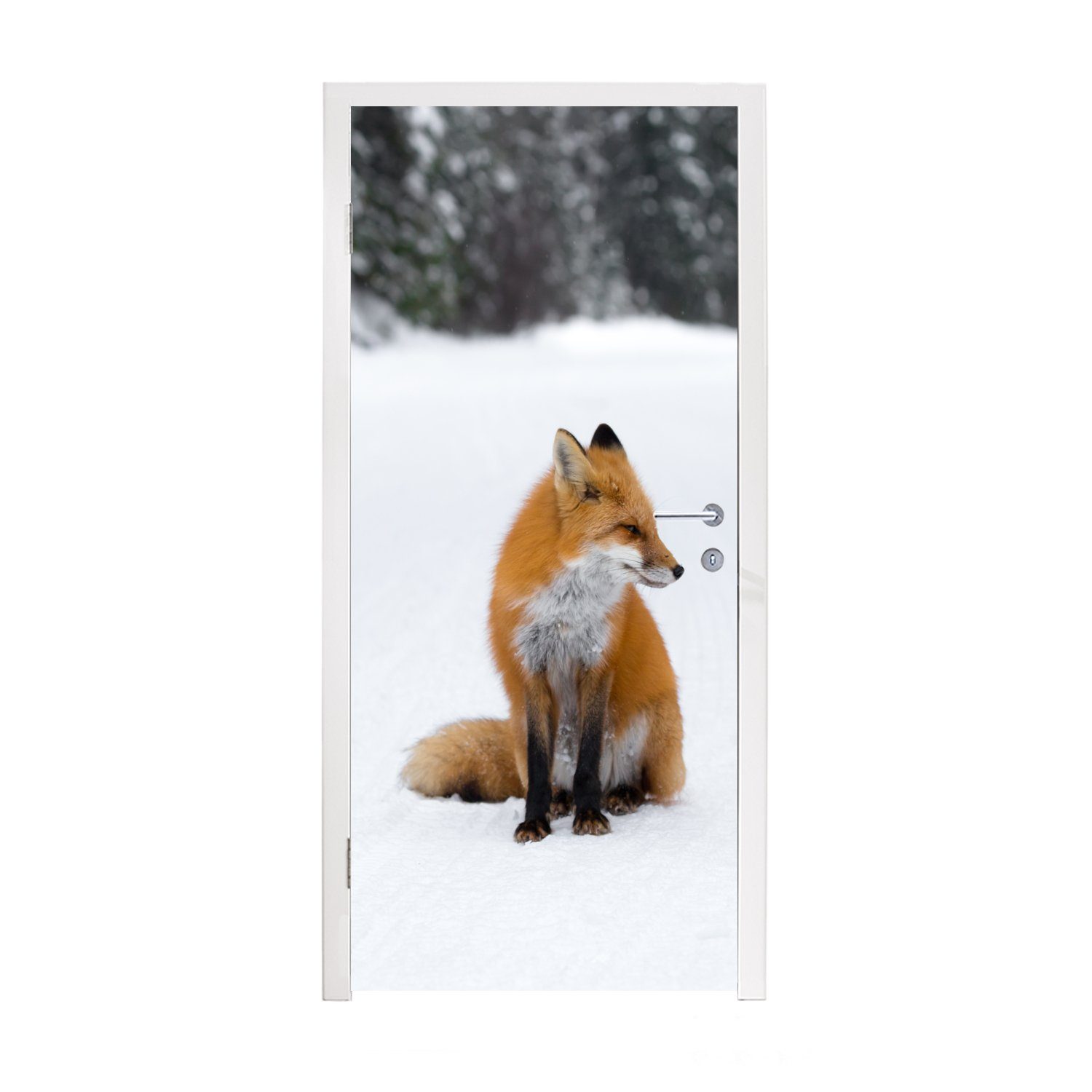 - 75x205 cm MuchoWow Türaufkleber, bedruckt, (1 Fototapete - Türtapete Matt, für Schnee Winter, Fuchs Tür, St),