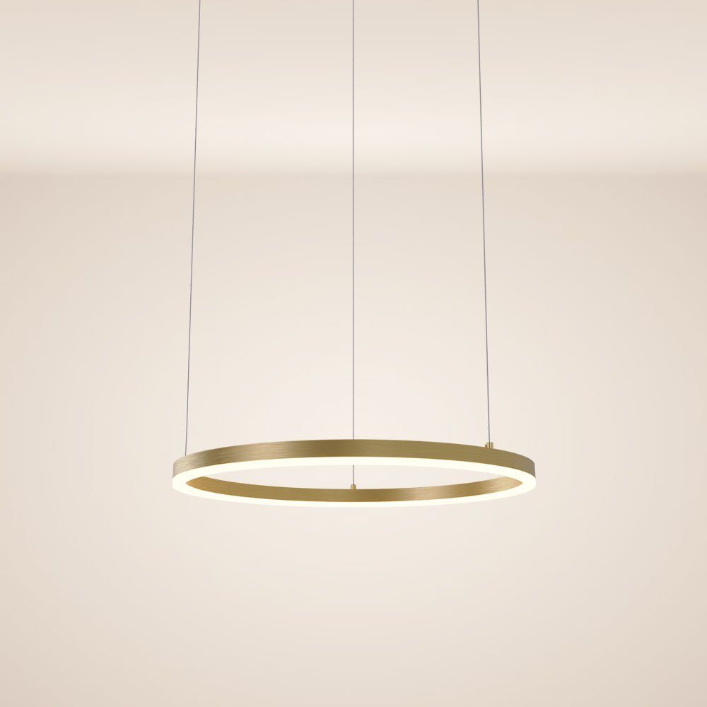 s.luce Pendelleuchte LED Hängeleuchte Ring Warmweiß Abhängung Goldfarben, 60 5m