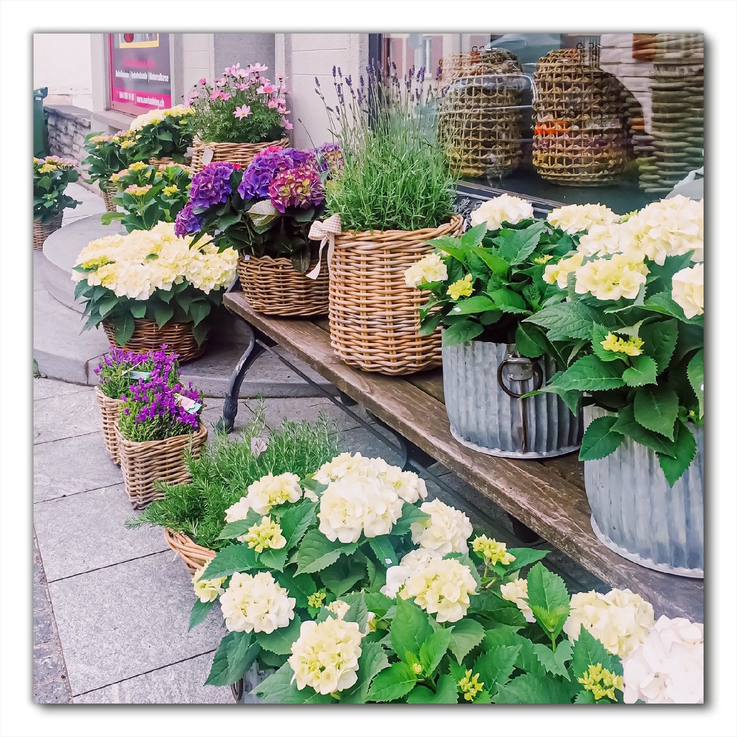 Wallario Möbelfolie Blumenladen mit Hortensien