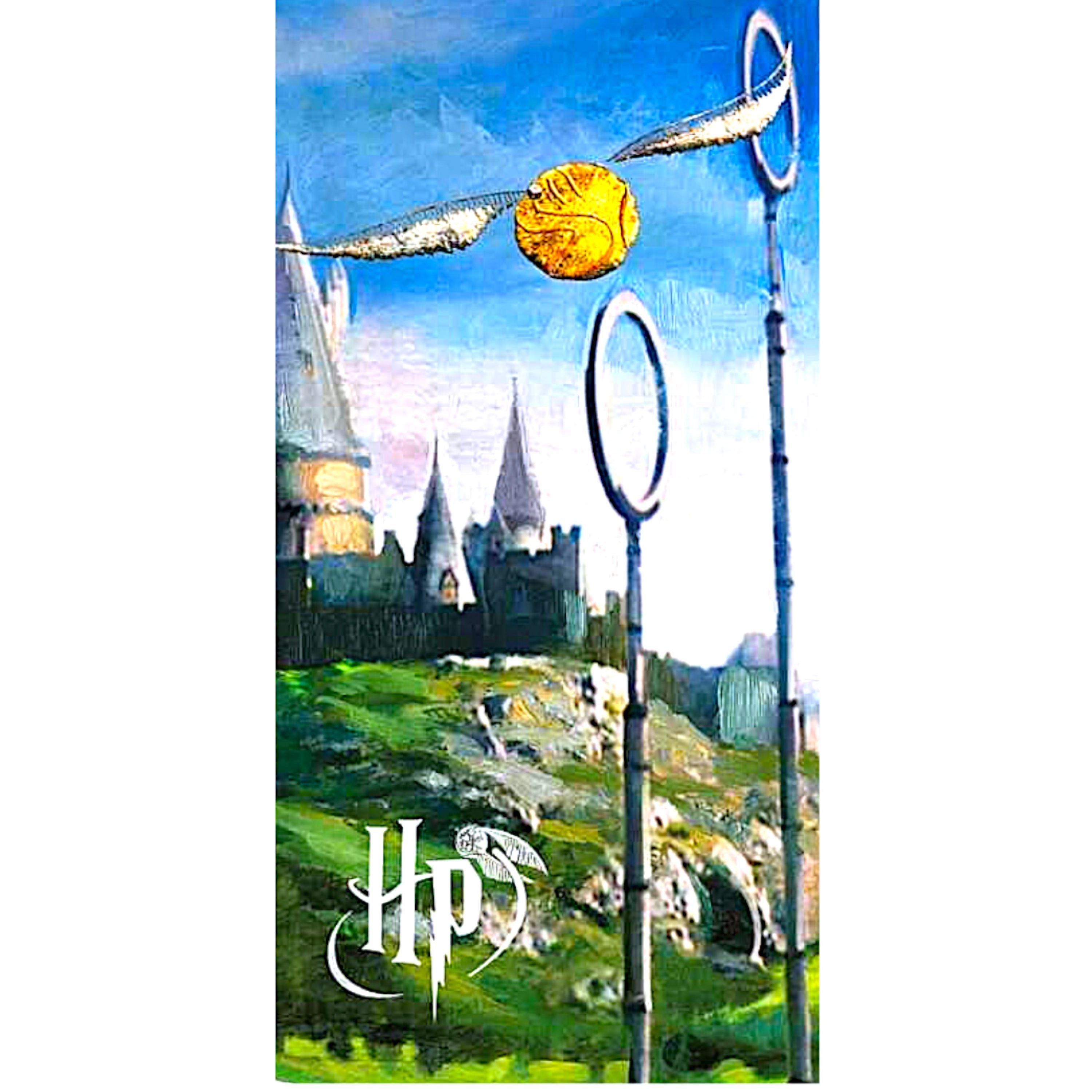 Harry Potter Badetuch Quidditch, Mikrofaser, Strandtuch 70 x 140 cm schnell günstig online kaufen