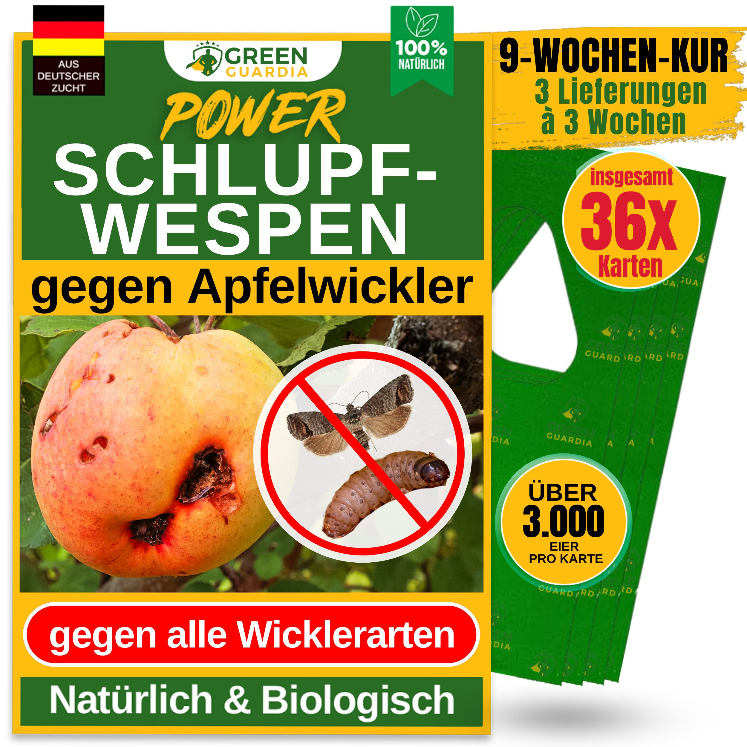 Insektenvernichter Schlupfwespen gegen Apfelwickler, 3-15 Karten -3-Fach-Lieferung