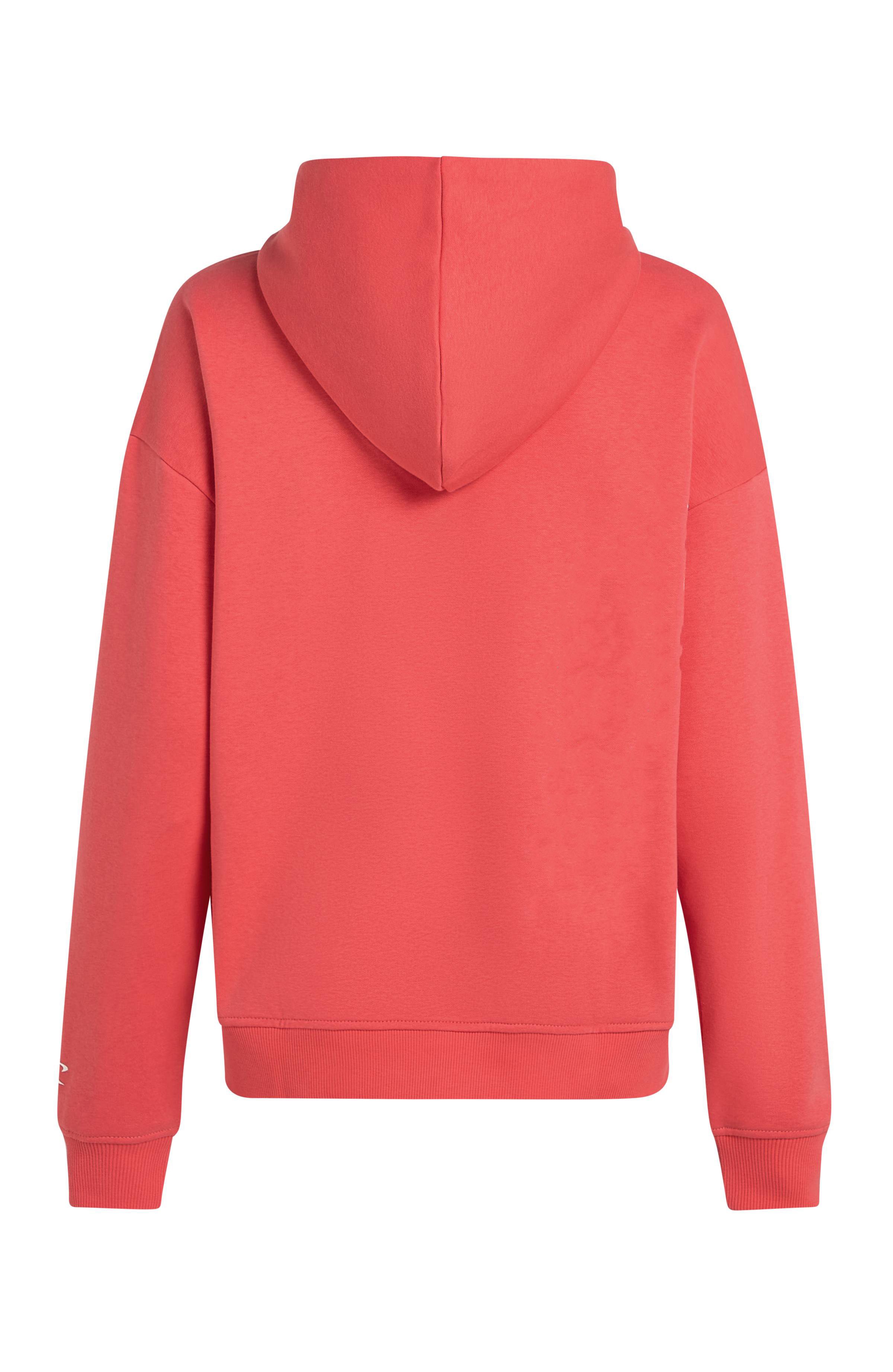 O'Neill Kapuzensweatshirt Future Surf Society Hoodie mit zwei Eingrifftaschen, aus leicht angerautem Baumwoll-Sweatstoff