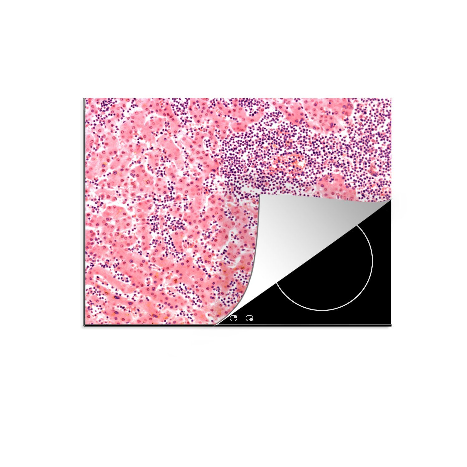 nutzbar, 70x52 unter tlg), Ceranfeldabdeckung MuchoWow cm, Arbeitsfläche dem (1 Blutzellen Vinyl, Mobile Mikroskop, Herdblende-/Abdeckplatte
