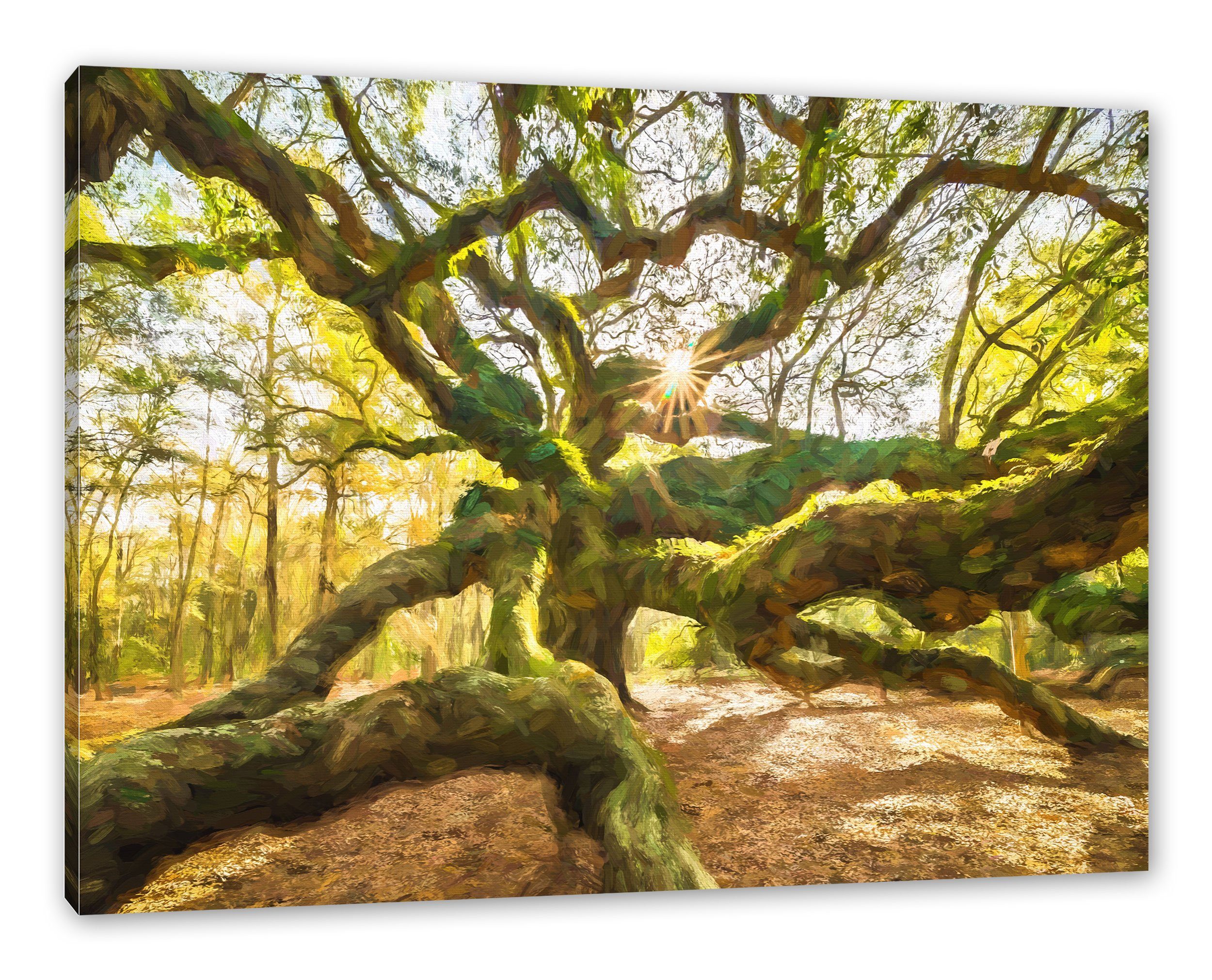 Pixxprint Leinwandbild bespannt, inkl. fertig (1 Leinwandbild Zackenaufhänger St), Baum Baum
