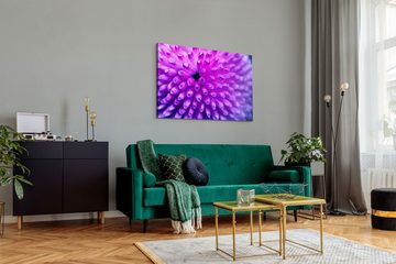 Sinus Art Leinwandbild 120x80cm Wandbild auf Leinwand Koralle Wasserpflanze Violett Makrofoto, (1 St)