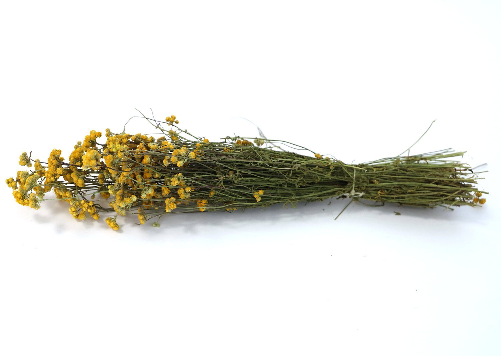 Trockenblume Getrockneter Strauß aus Lona Blüten, Kunstharz.Art | Trockenblumen