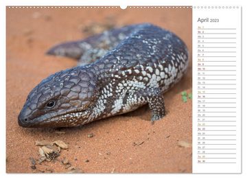 CALVENDO Wandkalender Die einzigartige Tierwelt von Australien (Premium, hochwertiger DIN A2 Wandkalender 2023, Kunstdruck in Hochglanz)