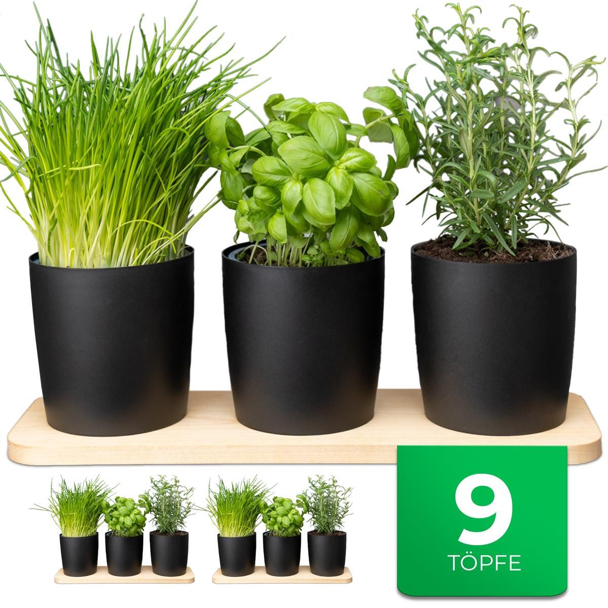 Novaliv Kräutertopf - (3 St), 3x günstig online kaufen