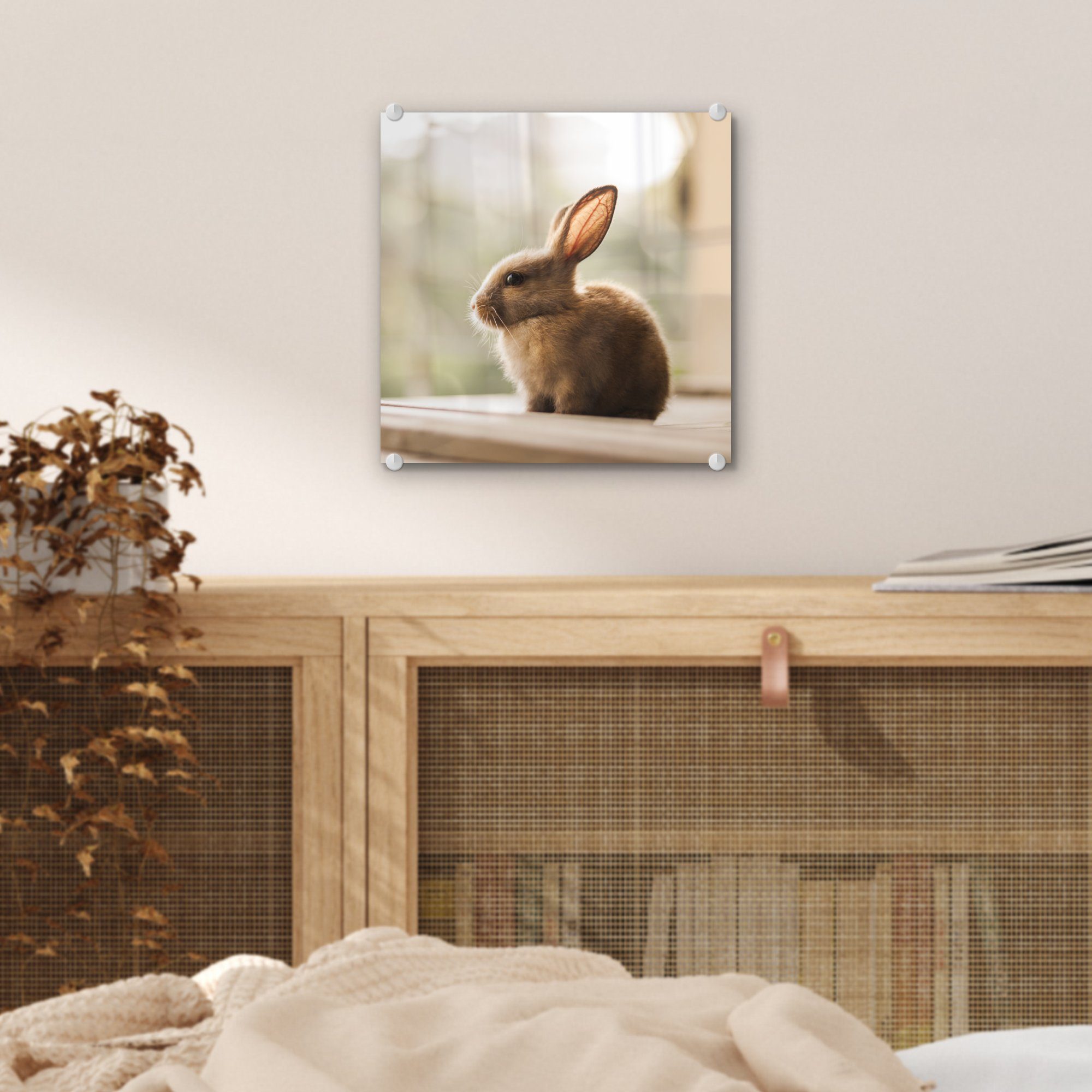 MuchoWow Acrylglasbild Foto Kaninchen auf auf Glas Baby Wanddekoration Wandbild - St), - - Glas (1 Glasbilder - Bilder - Tier