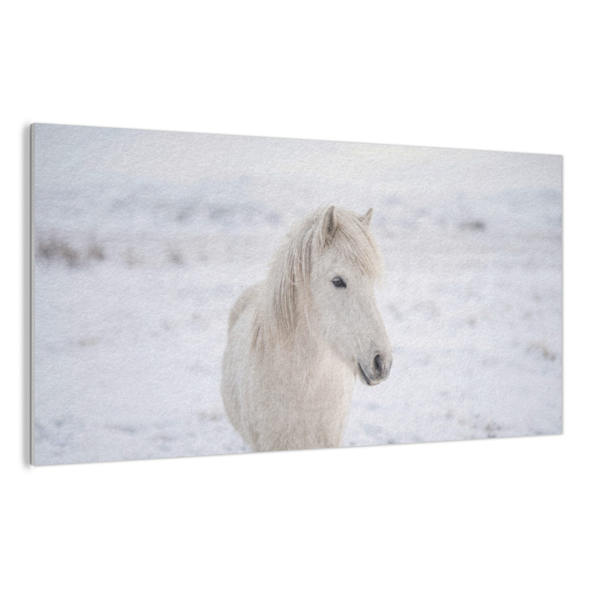MuchoWow Gemälde Pferd - Kopf - Winter - Tiere - Weiß, Fotodruck (1 St), Akustikpaneele, Wandpaneele, Schalldämmung, Akustikbilder 120x60 cm