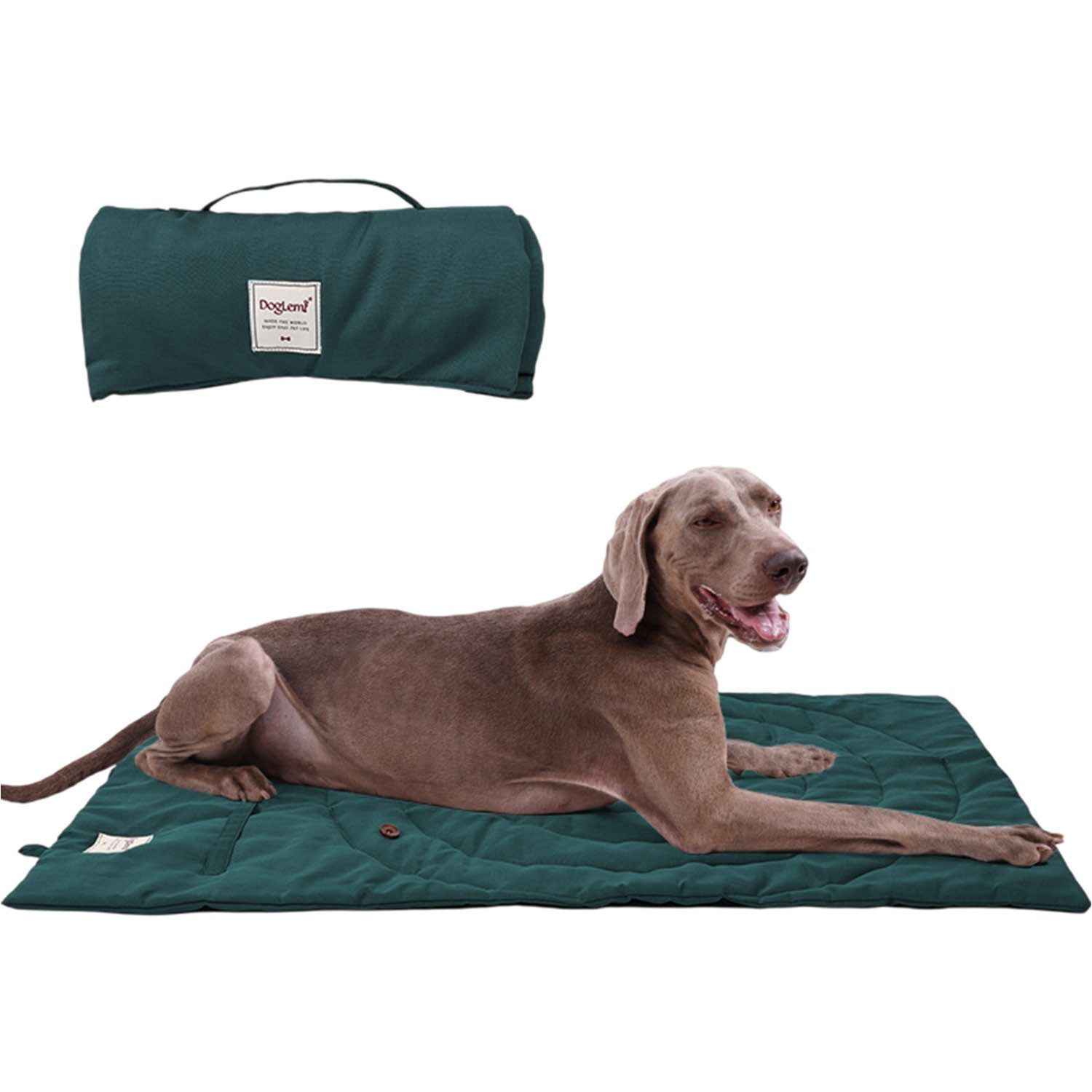 Refttenw Tierdecke Faltbare wasserdichte Haustier Decke,Hundedecke für Unterwegs,95x 65cm