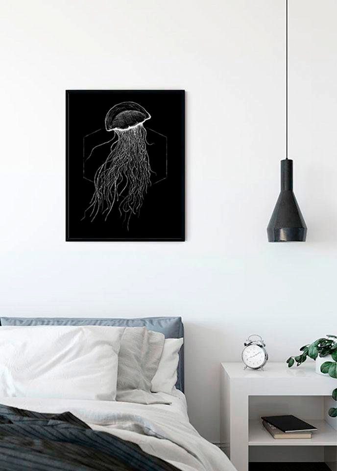 Komar Poster Jellyfish Black, Tiere (1 St), Kinderzimmer, Schlafzimmer, Wohnzimmer | Poster