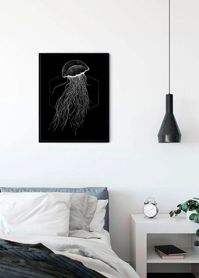 St), Schlafzimmer, Tiere Jellyfish Black, Poster (1 Komar Wohnzimmer Kinderzimmer,
