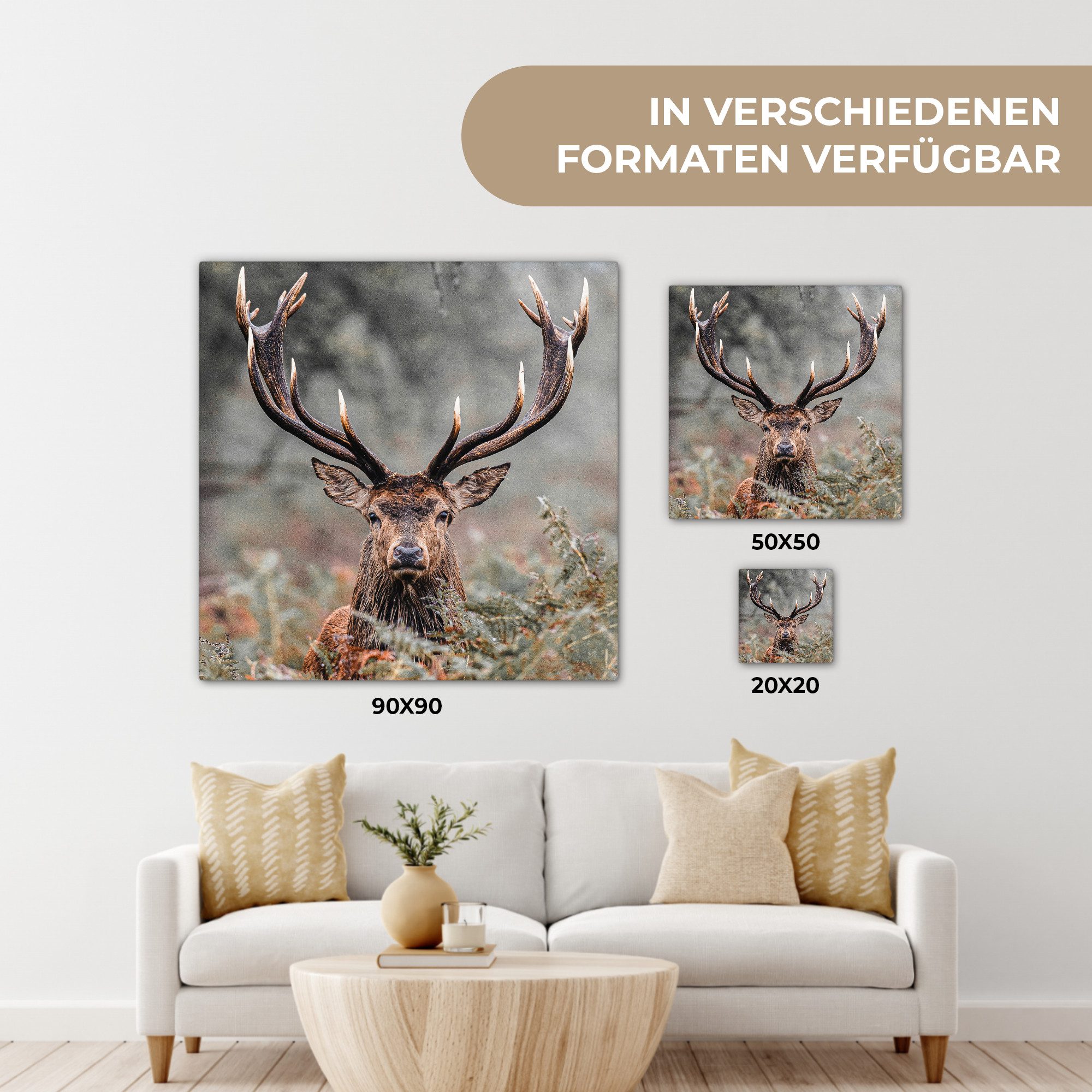 OneMillionCanvasses® Leinwandbild Hirsche - Natur - Herbst - Waldtiere, Fotodruck (1 St), Leinwand Bilder Klein, Wand Dekoration Aesthetic 30x20 cm – Bild 5 von 5