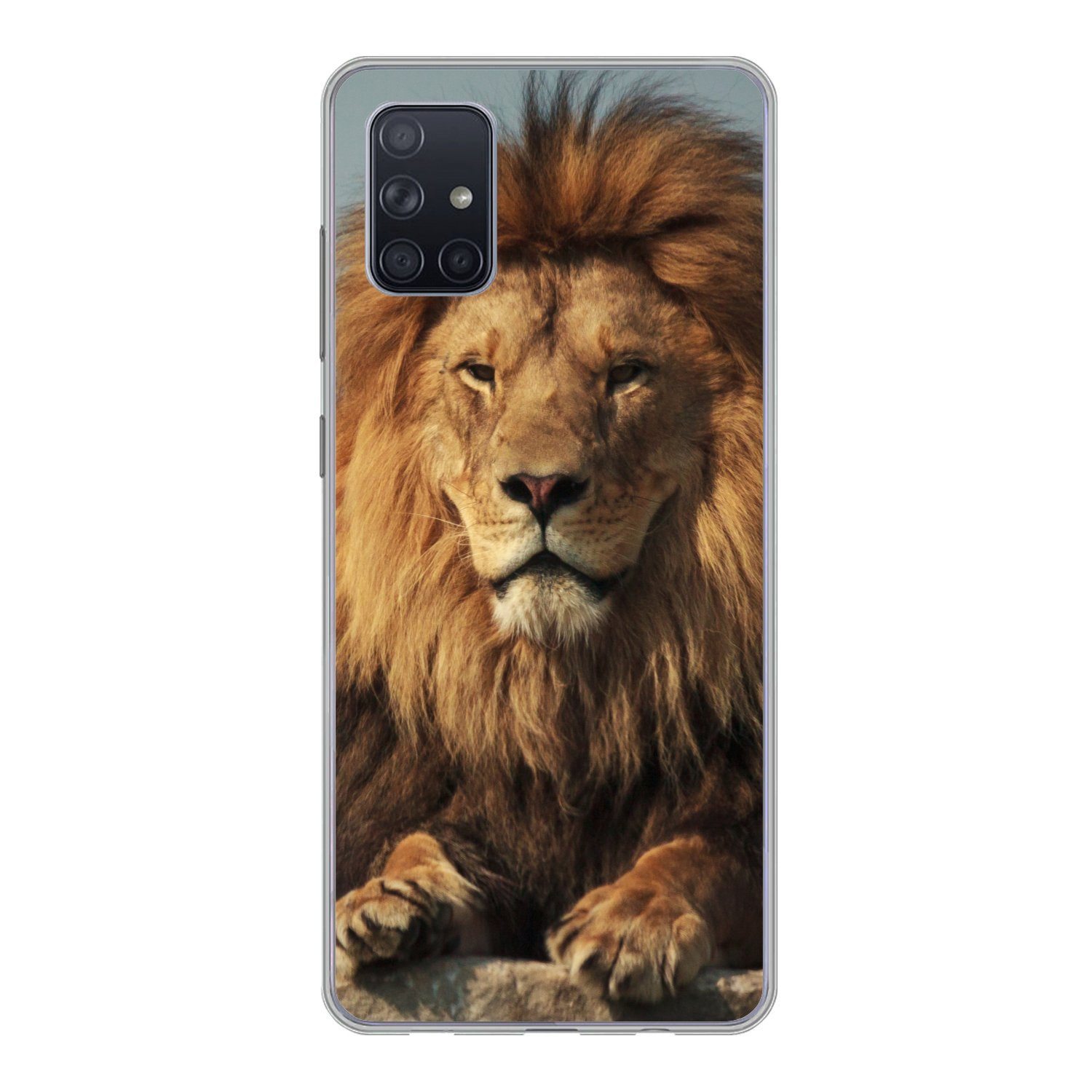 MuchoWow Handyhülle für Samsung Galaxy A71 Löwe - Felsen - Porträt, Phone Case, Silikon, Schutzhülle Dünn