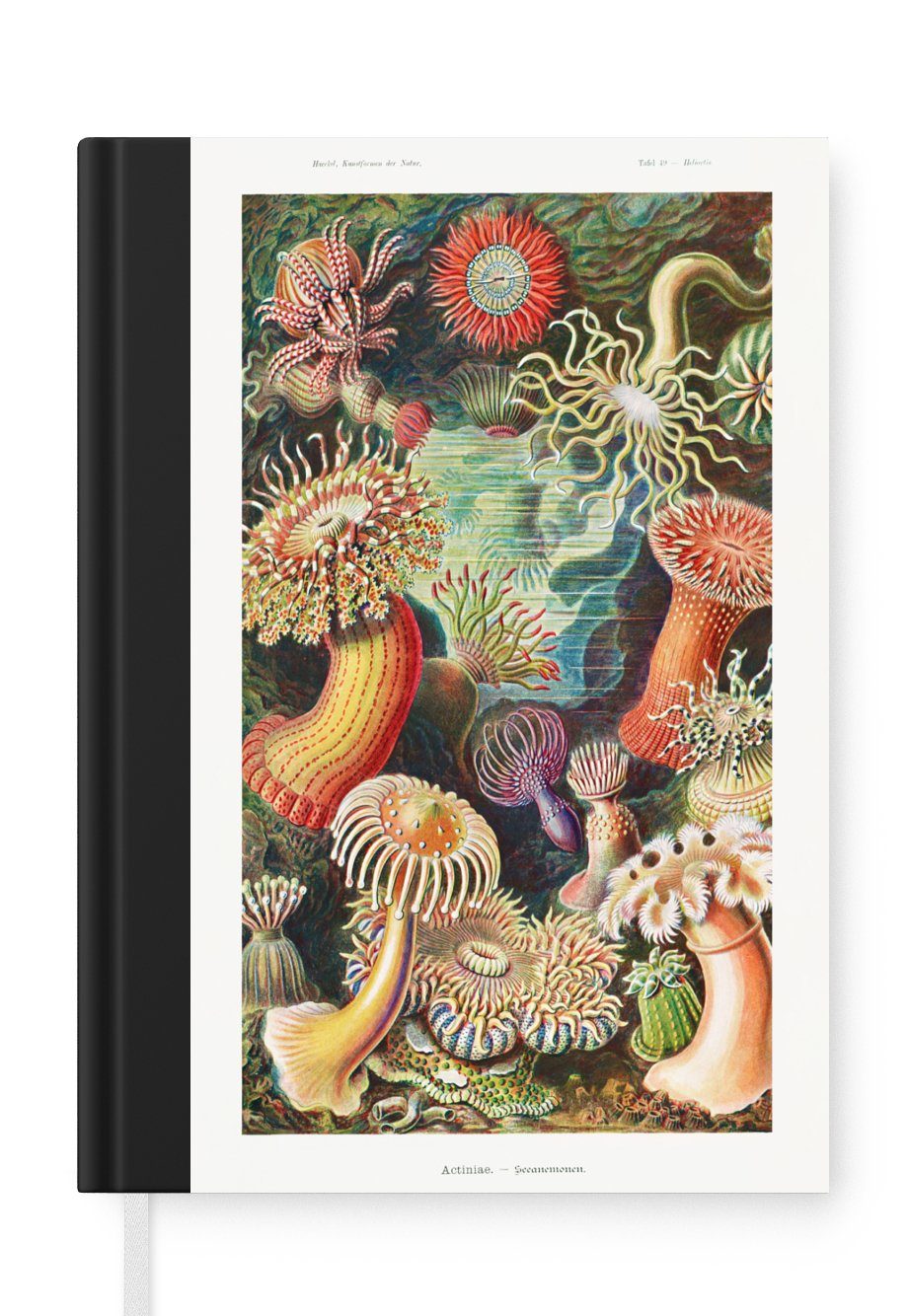 MuchoWow Notizbuch Ernst Haeckel - Anemone - Retro - Natur - Pflanzen - Meer, Journal, Merkzettel, Tagebuch, Notizheft, A5, 98 Seiten, Haushaltsbuch