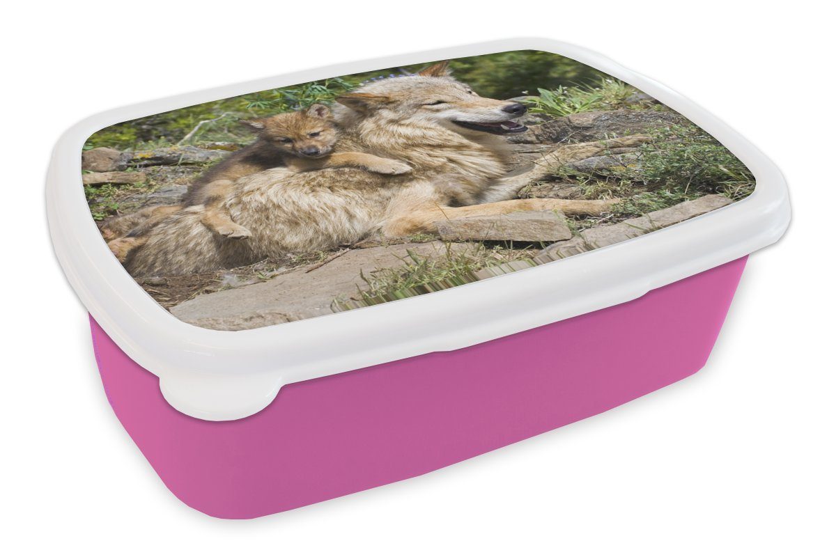 MuchoWow Lunchbox Wolf - Jungtier - Tier, Kunststoff, (2-tlg), Brotbox für Erwachsene, Brotdose Kinder, Snackbox, Mädchen, Kunststoff rosa | Lunchboxen