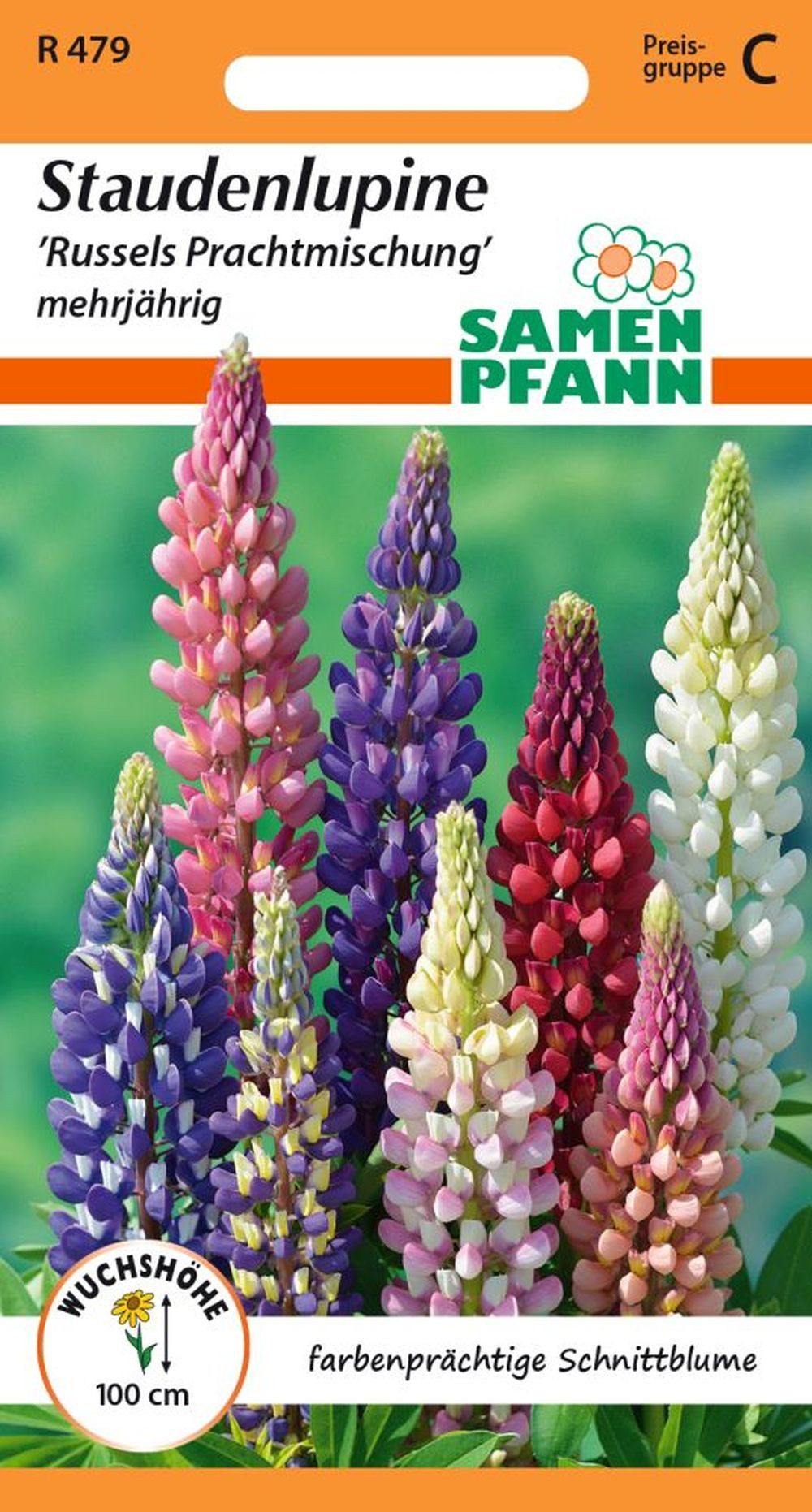SAMEN PFANN Blumensamen Staudenlupine, Russels Prachtmischung - Saatgut Sam günstig online kaufen