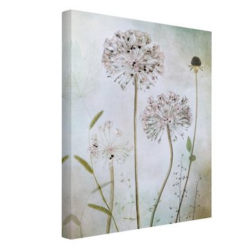 Bilderdepot24 Leinwandbild Vintage Retro Lauchblüten Pastell creme beige Bild auf Leinwand XXL, Bild auf Leinwand; Leinwanddruck in vielen Größen