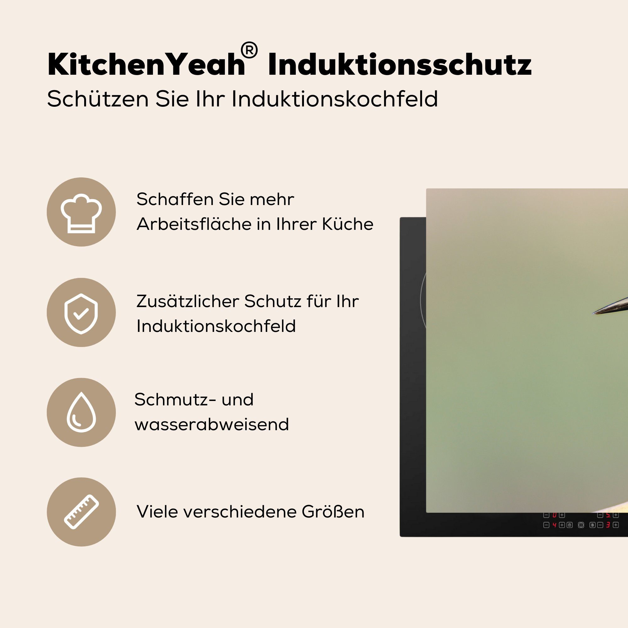 Vogel - Herdblende-/Abdeckplatte tlg), die für Ceranfeldabdeckung Schutz MuchoWow Eisvogel küche, Induktionskochfeld - Zweig, cm, 81x52 (1 Vinyl,