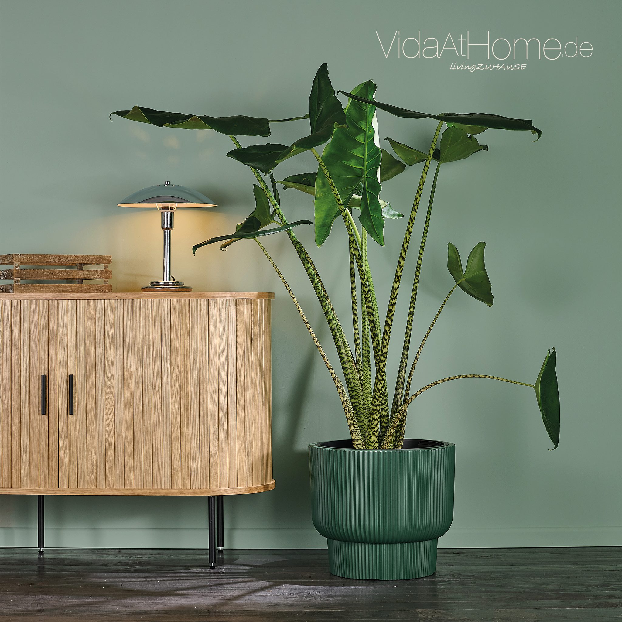 VidaAtHome.de Blumentopf Design-Pflanzgefäß ULEY ø 40er, Modernes Rillendes günstig online kaufen