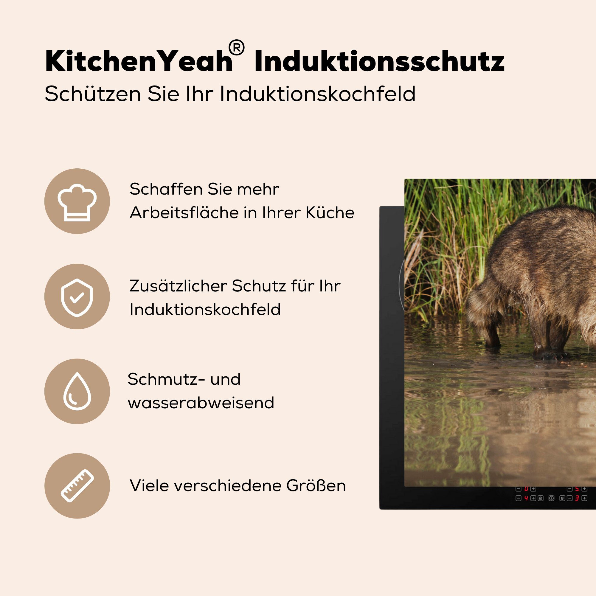 Schutz cm, MuchoWow für Vinyl, - Herdblende-/Abdeckplatte 81x52 Wasser, Fisch Waschbär tlg), Induktionskochfeld küche, Ceranfeldabdeckung - (1 die