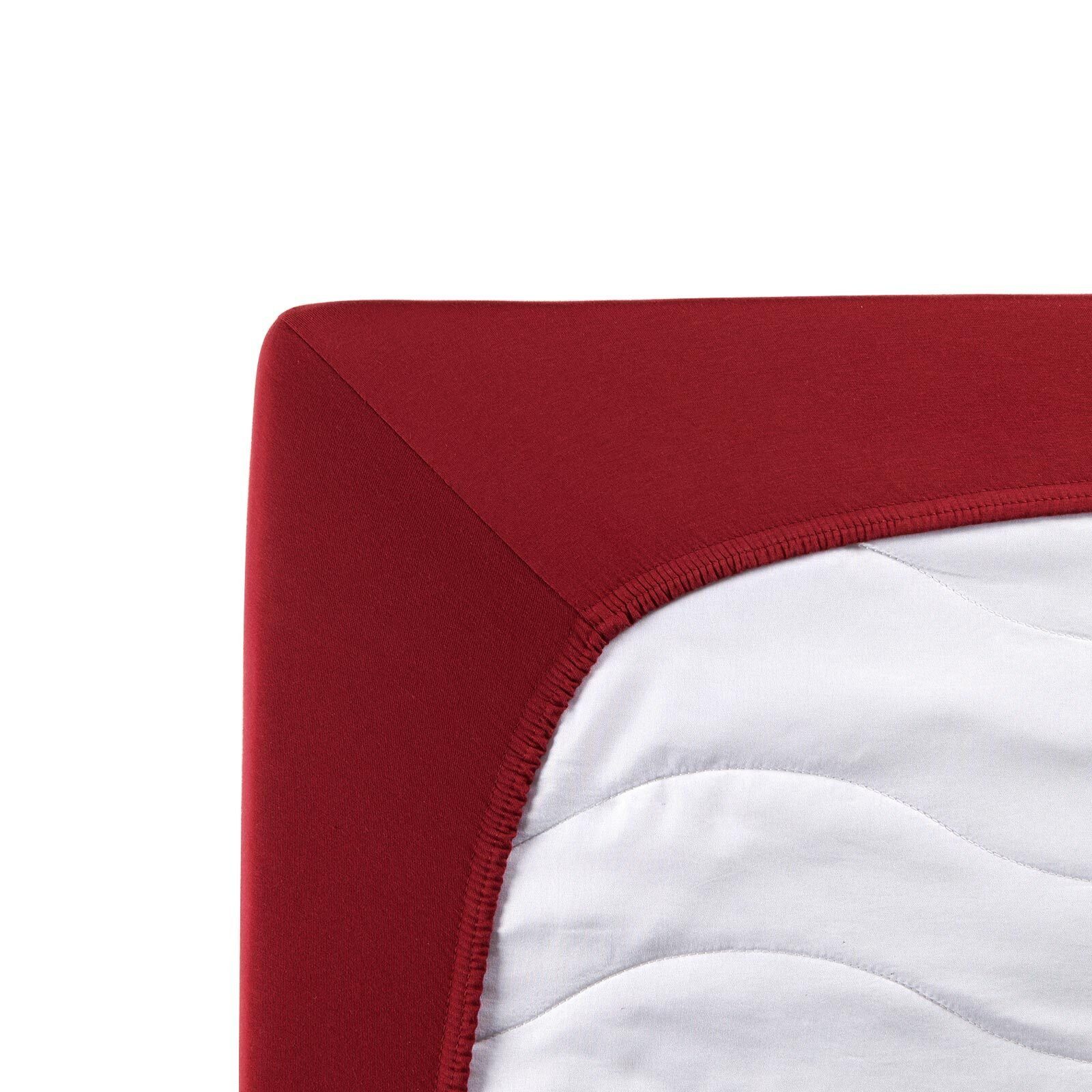 TRAUMSCHLAF Spannbettlaken Single Jersey, Jersey, Gummizug: günstig online kaufen