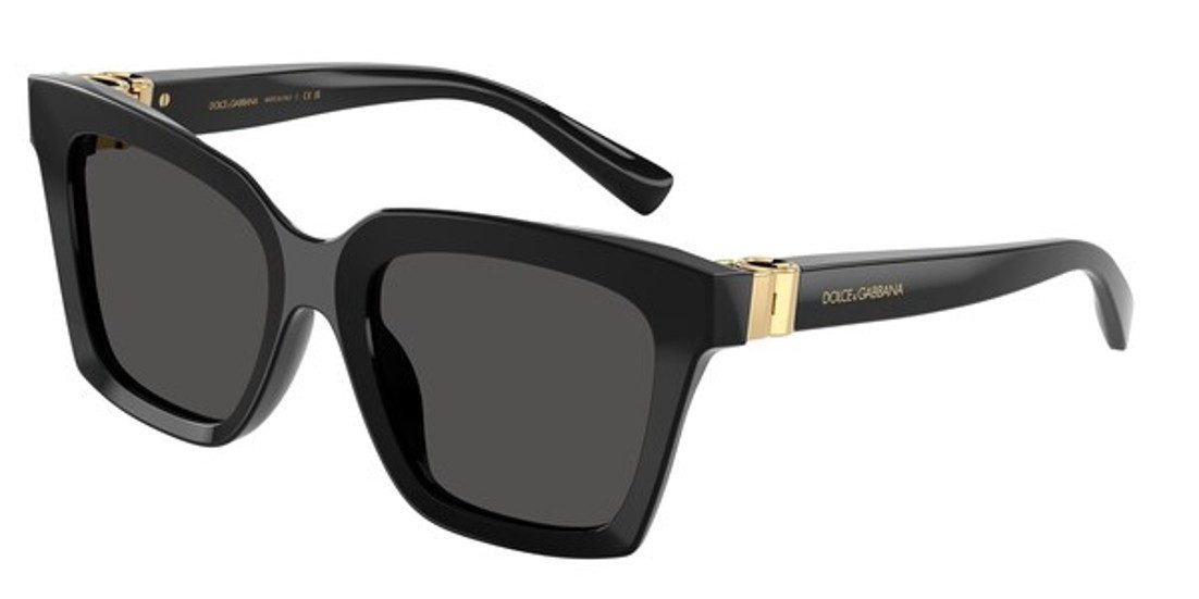 DOLCE & GABBANA Sonnenbrille DOLCE & GABBANA Sonnenbrille Sunglasses DG 4498 501/87