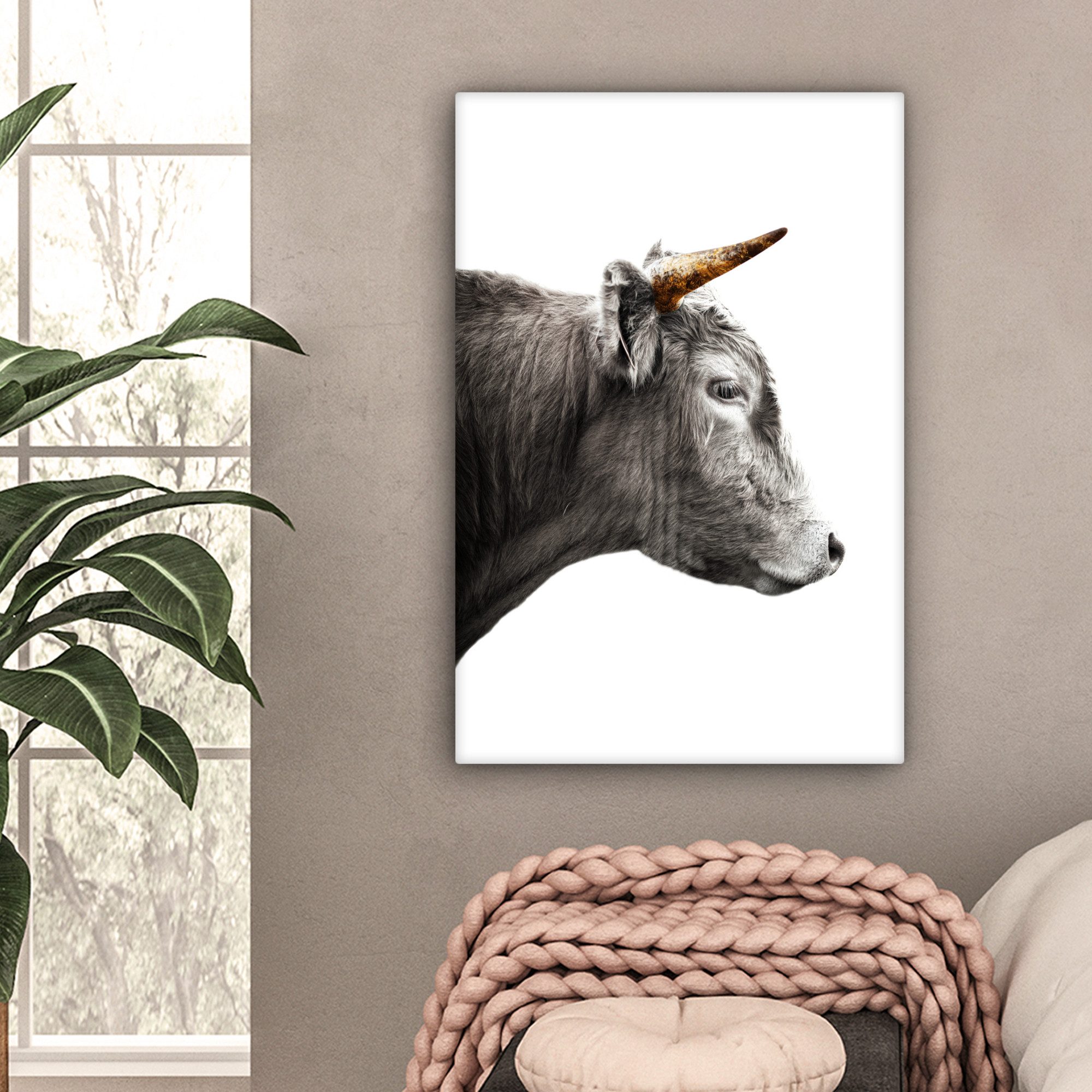OneMillionCanvasses® Leinwandbild Schottischer Highlander - Tiere günstig online kaufen