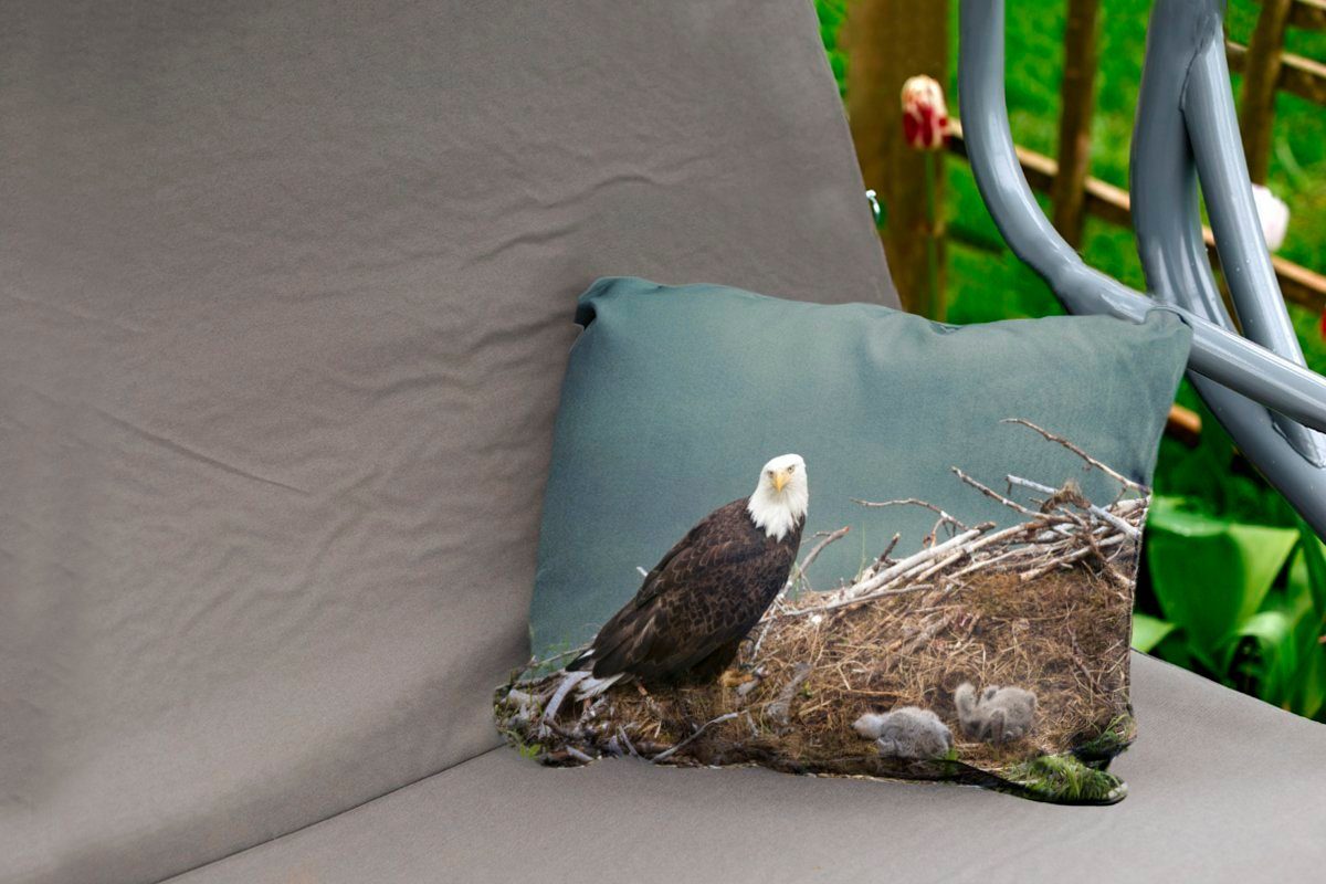 Weißkopfseeadler Ein Dekokissenbezug, Polyester, Outdoor-Dekorationskissen, einem Kükenpaar Kissenhülle Nest, mit im Dekokissen MuchoWow