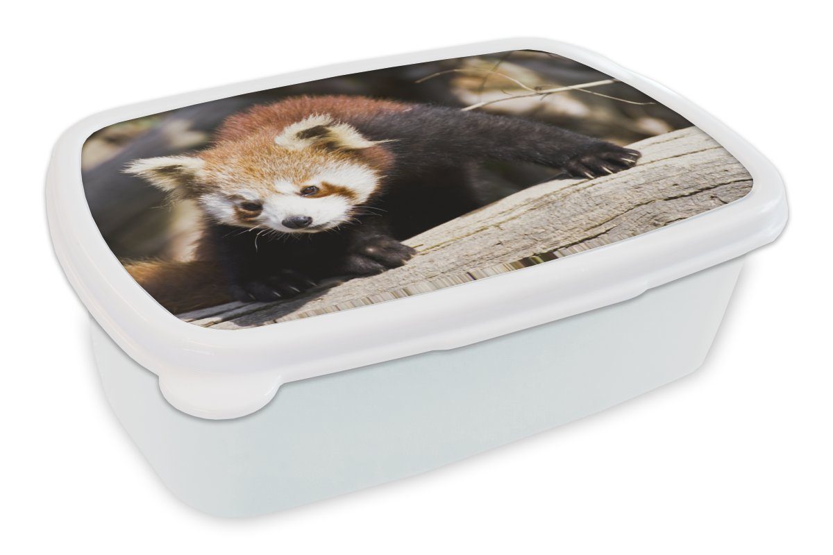 MuchoWow Lunchbox Roter Panda - Rüssel - Tier, Kunststoff, (2-tlg), Brotbox für Kinder und Erwachsene, Brotdose, für Jungs und Mädchen weiß