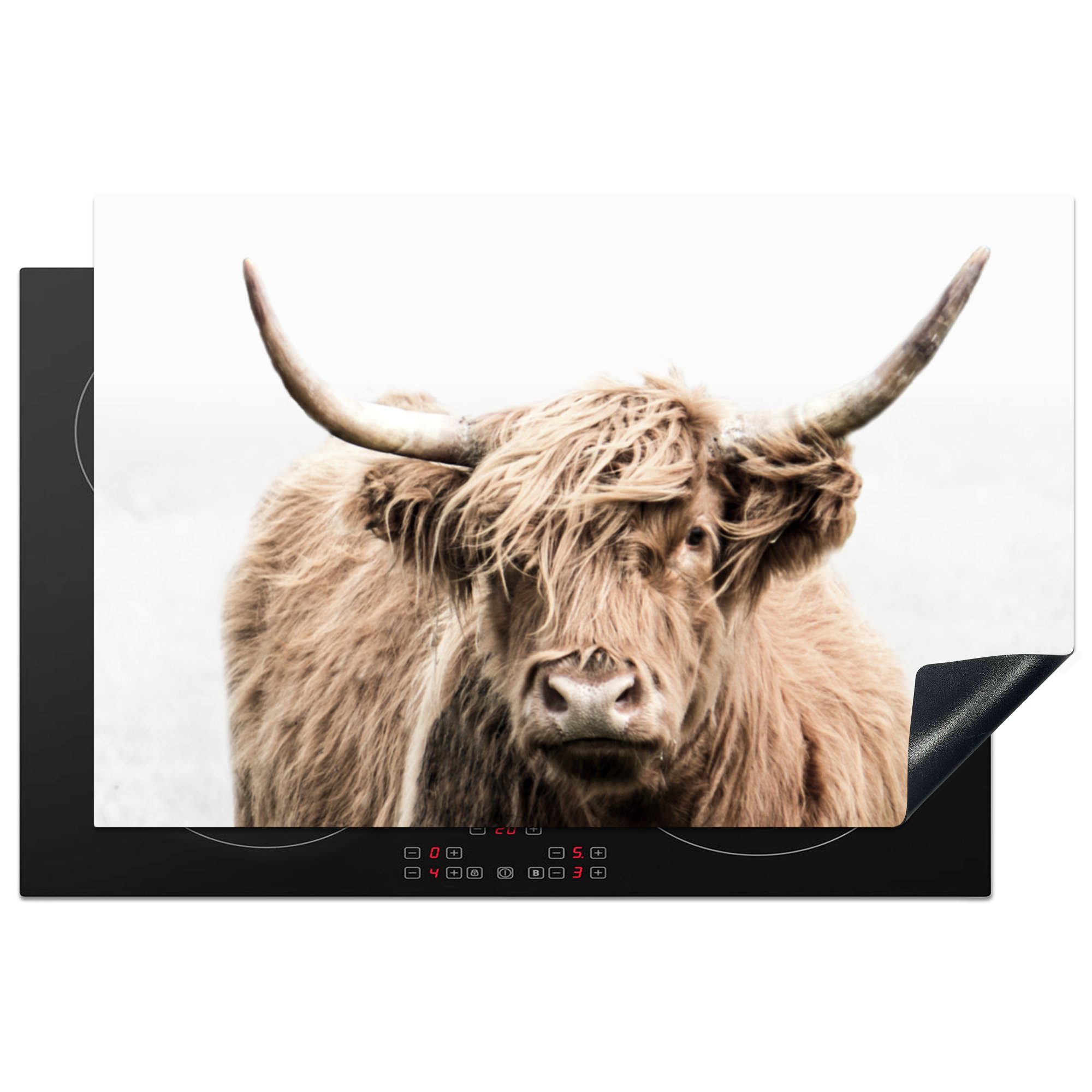 MuchoWow Herdblende-/Abdeckplatte Schottischer Highlander - Tiere - Fell, Vinyl, (1 tlg), 81x52 cm, Induktionskochfeld Schutz für die küche, Ceranfeldabdeckung