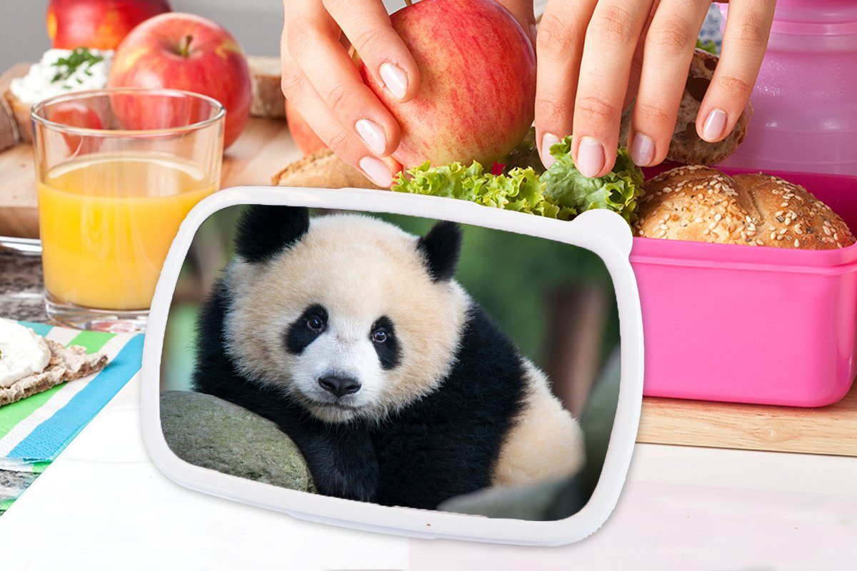 Mädchen, Brotdose Panda für Snackbox, - Stein, - Brotbox - Kunststoff Wildtiere MuchoWow Porträt (2-tlg), Lunchbox Kinder, Erwachsene, rosa Kunststoff,