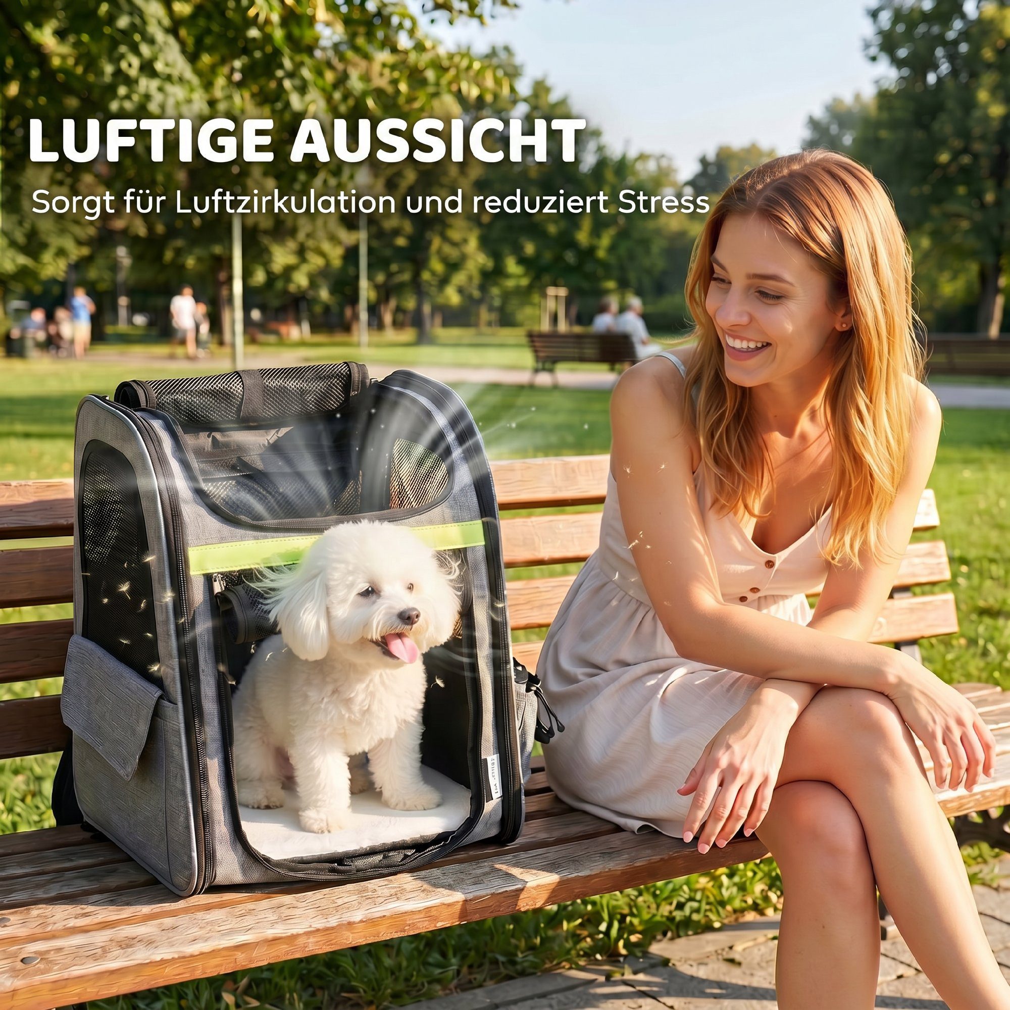 Cetipaw Tiertransportbox Hundebox erweiterbar Hund mit 5 Taschen reflektierendem Streifen, Transportbox für Hunde und Katzen bis 10 kg 33,5x28x42cm