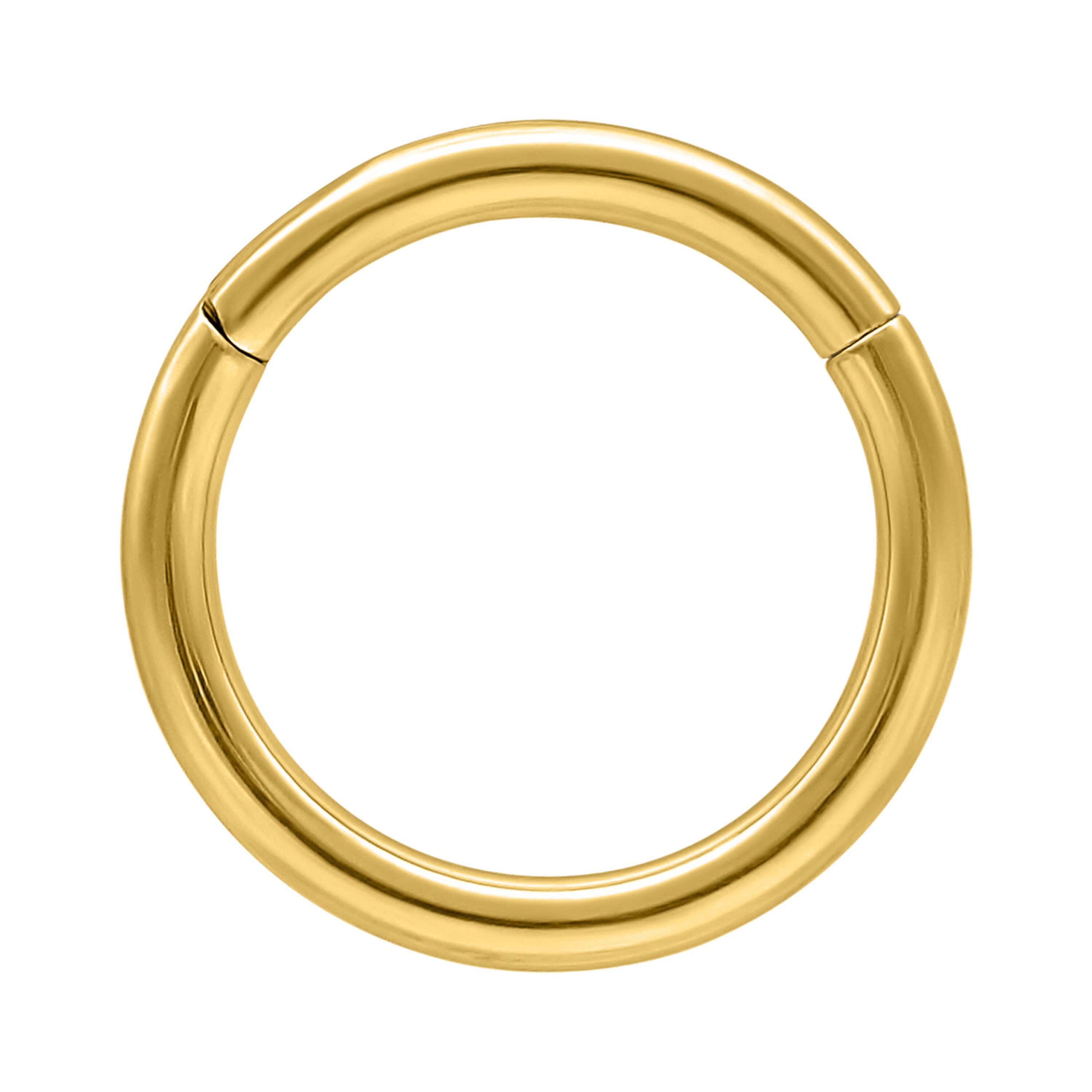 Wildcat Nasenpiercing Hinged Ring für Ohr, Lippe, Nase, Bauchnabel, 1 Stück günstig online kaufen